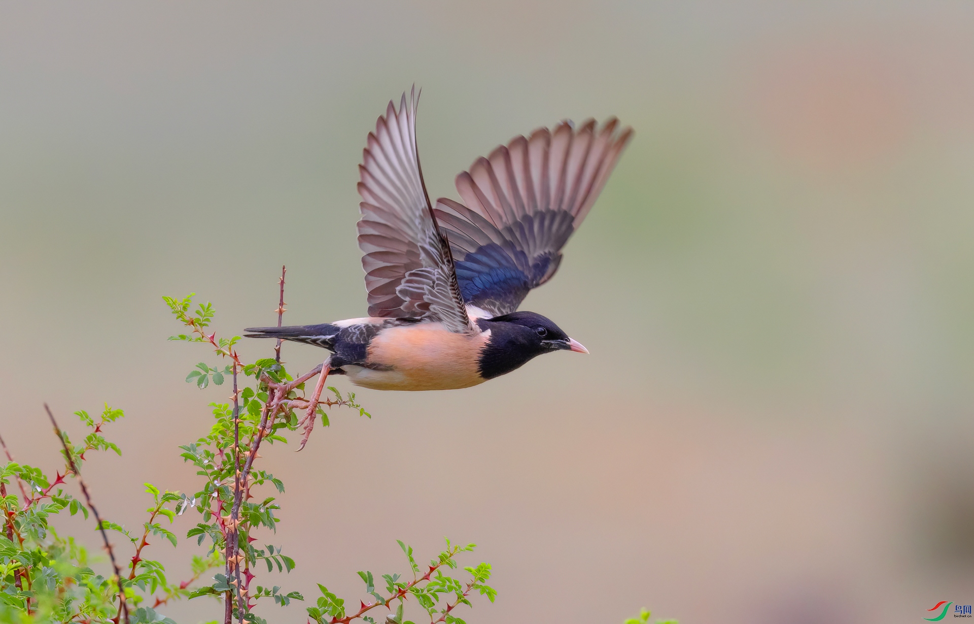 _X0A3551-topaz-denoise.jpg