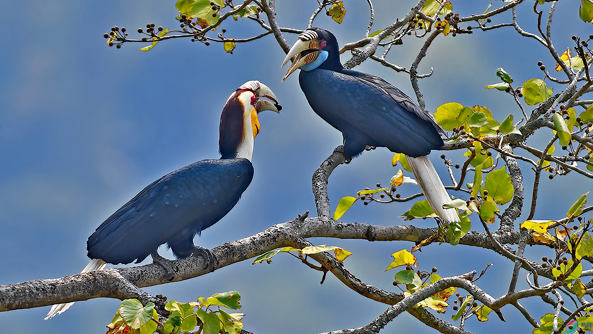 DSC_6569bnb.jpg