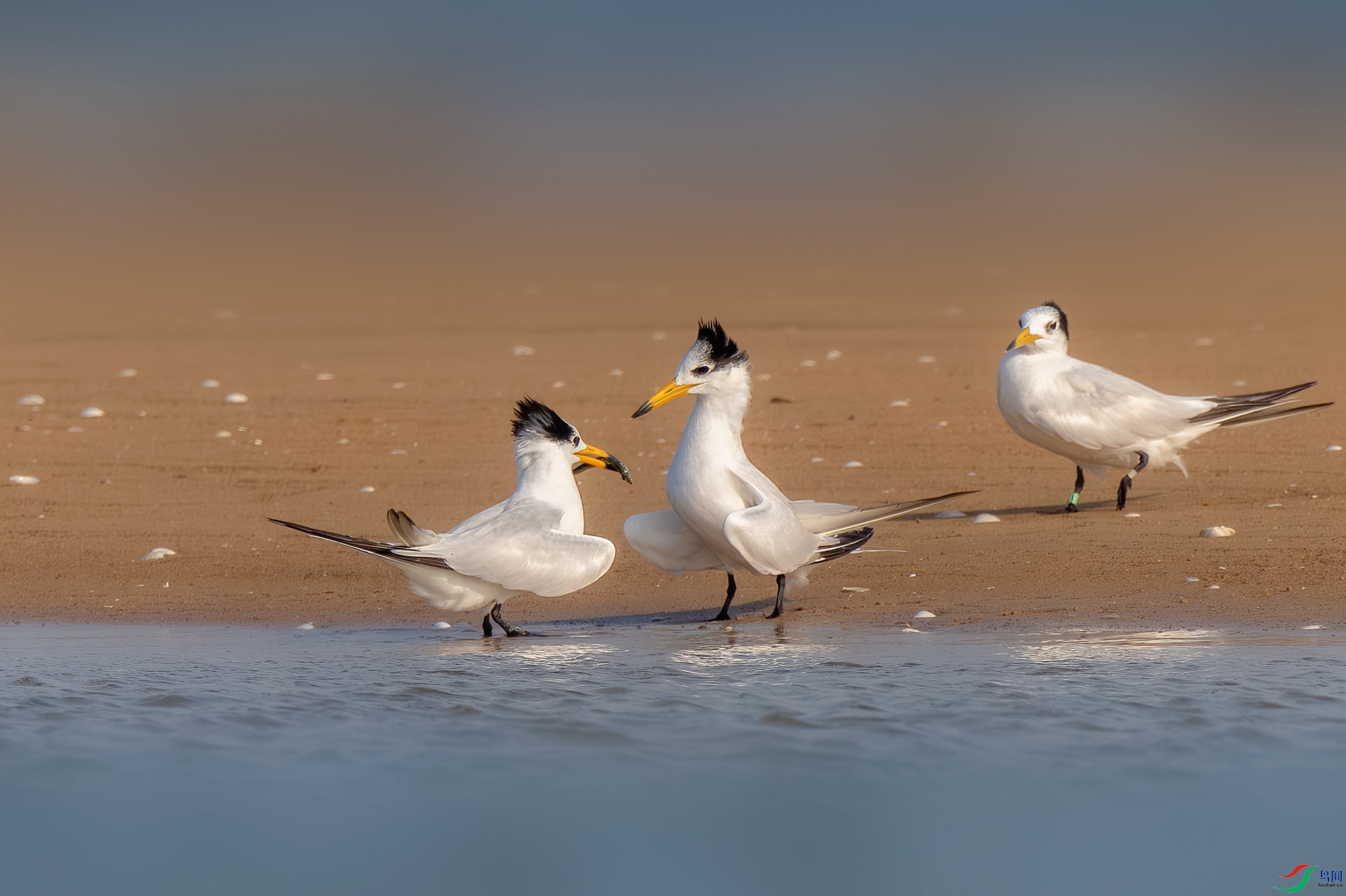 _DSC2360-����ǿ-NR ����.jpg