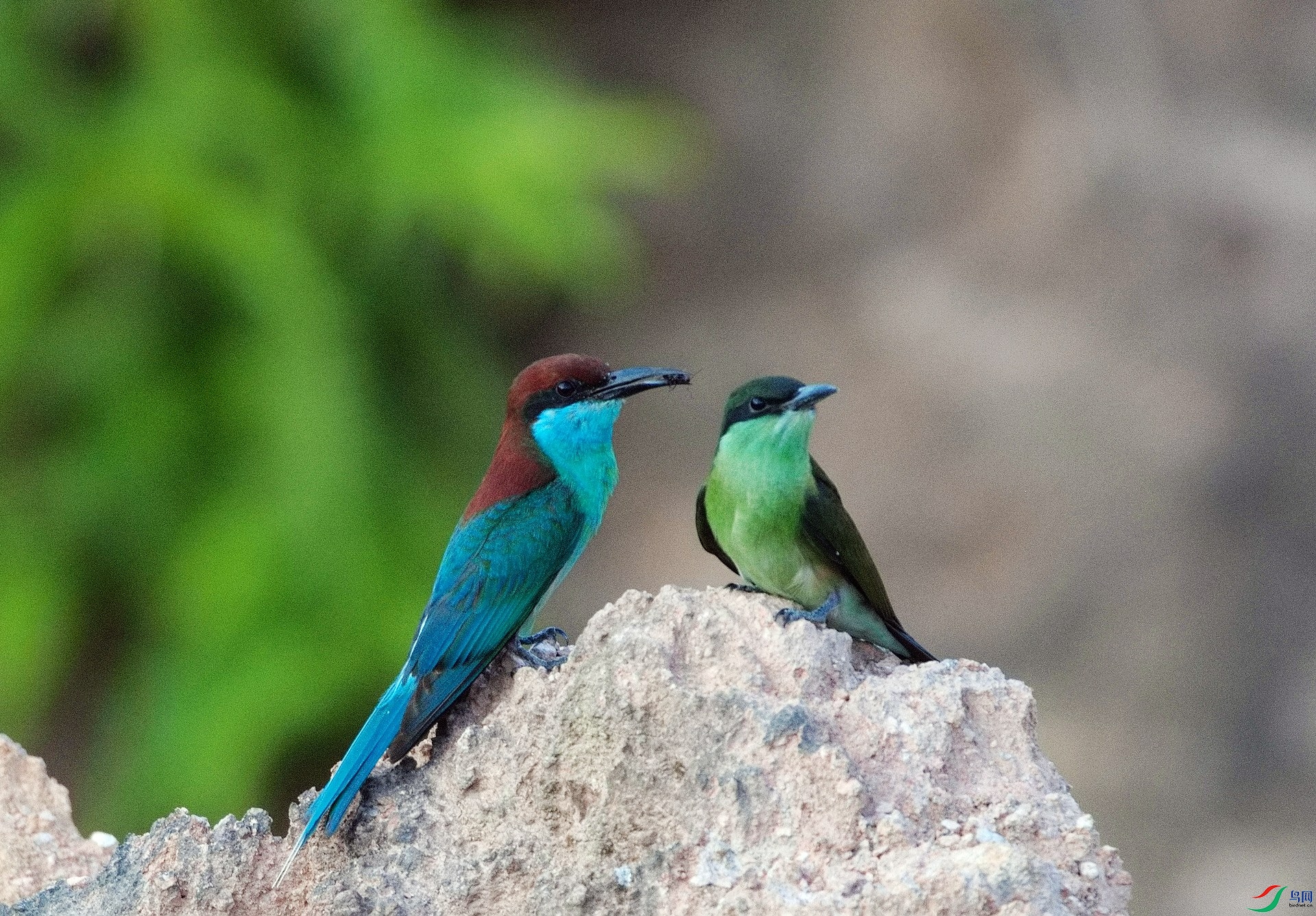 D8I_3640.jpg