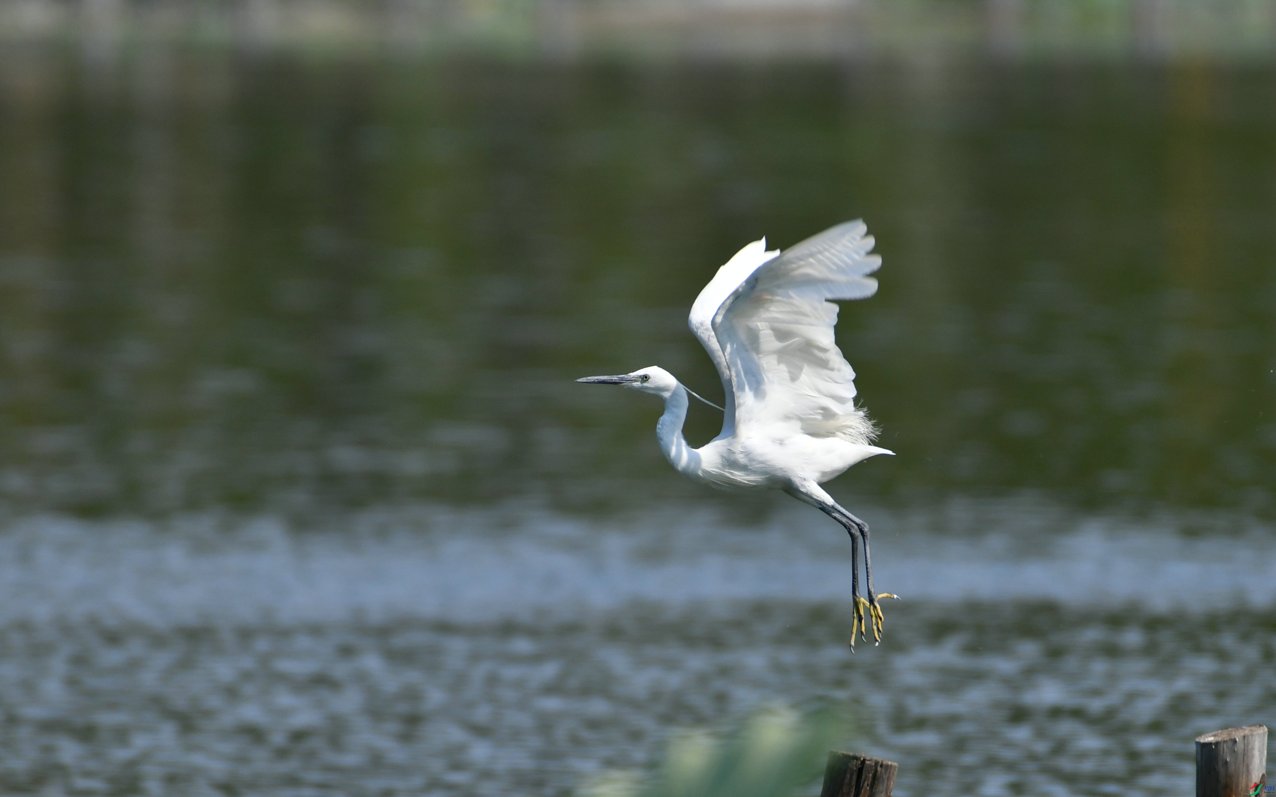 DSC_7490.JPG