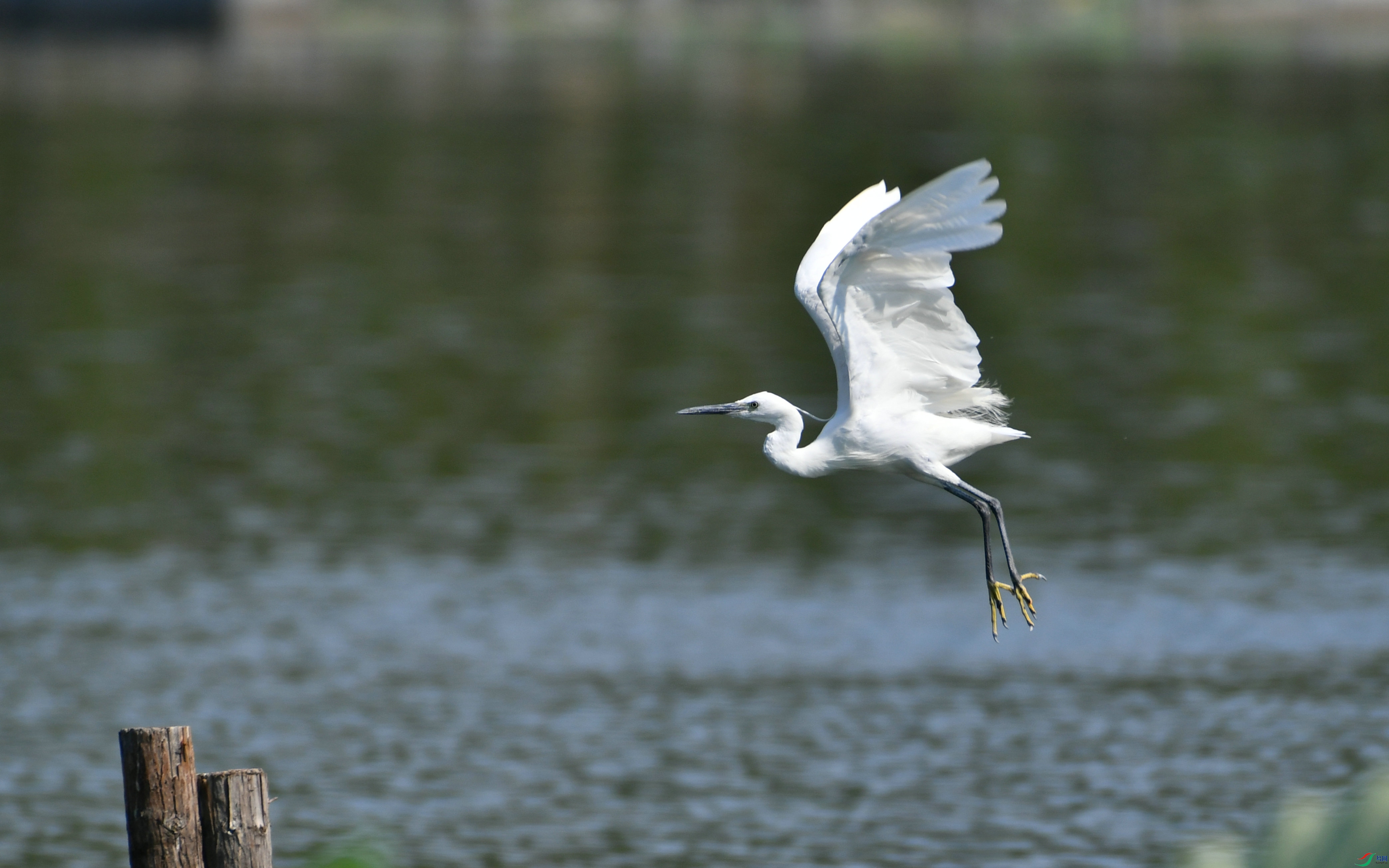 DSC_7492.JPG