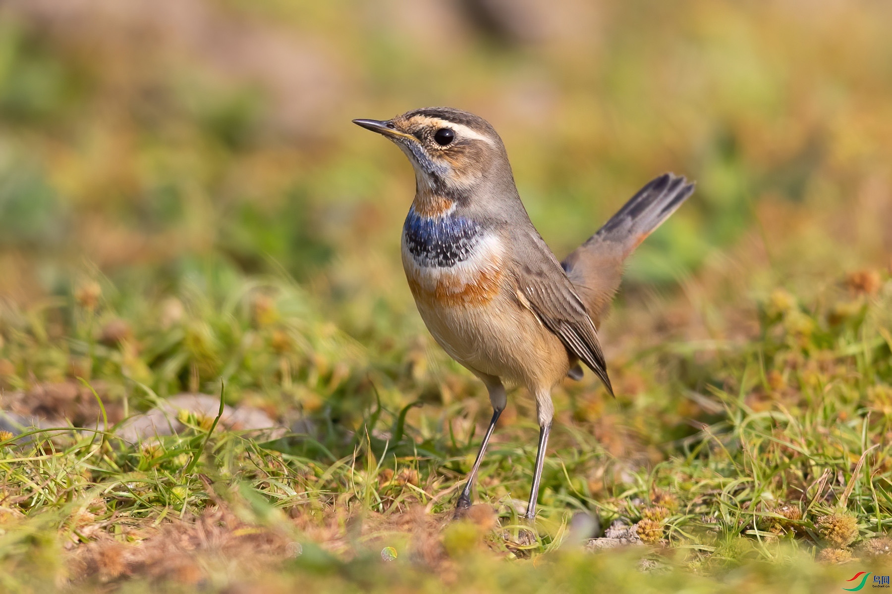 �������5