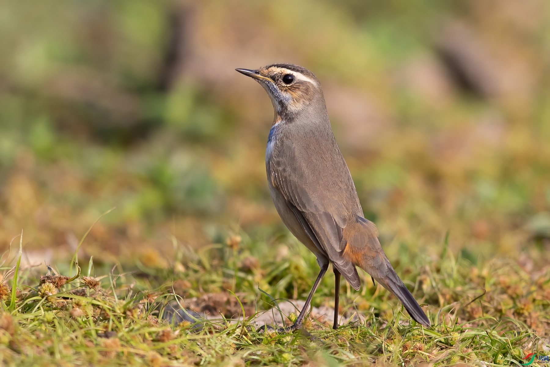 �������8