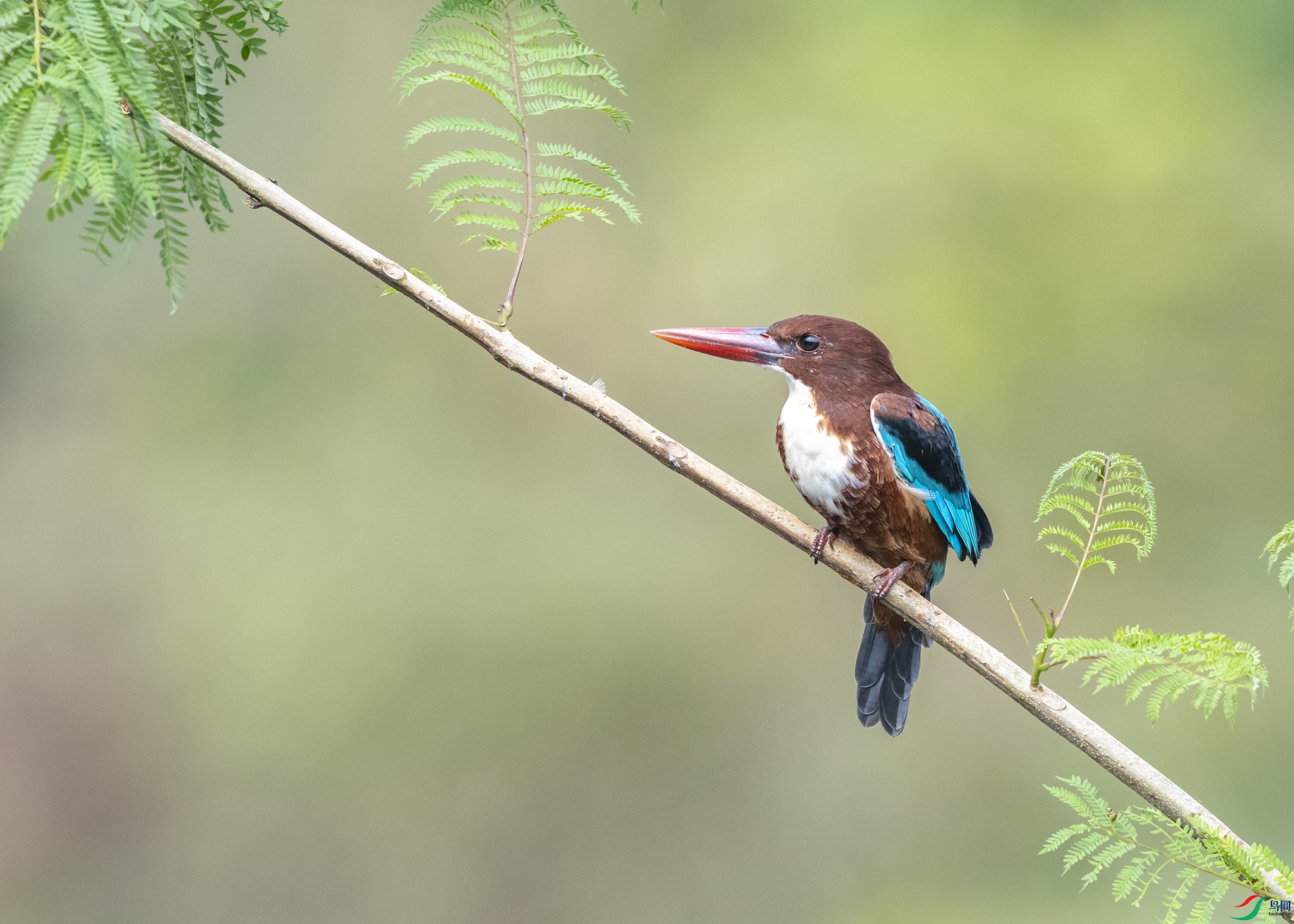 8652 ����.jpg