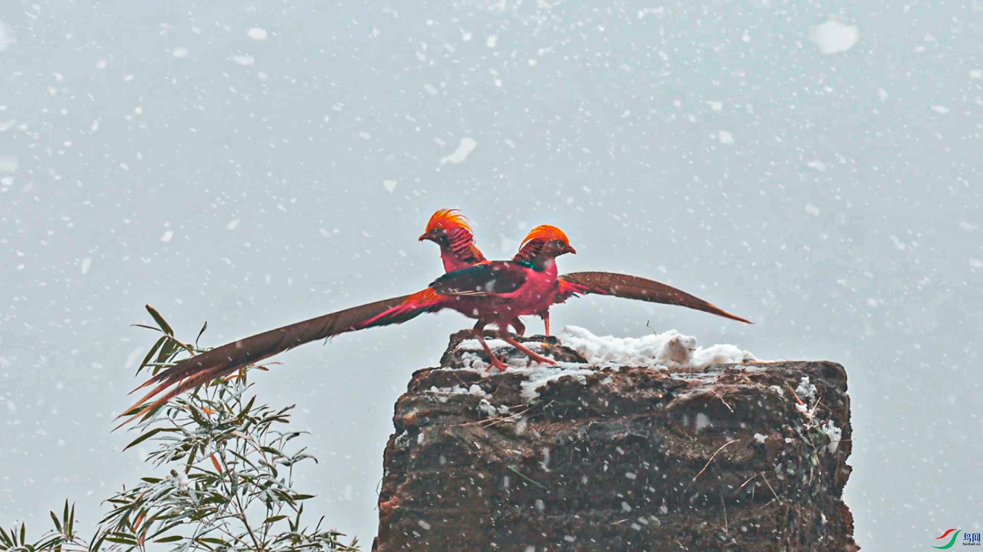 ѩ�� �츹����7��18�� (1).jpg