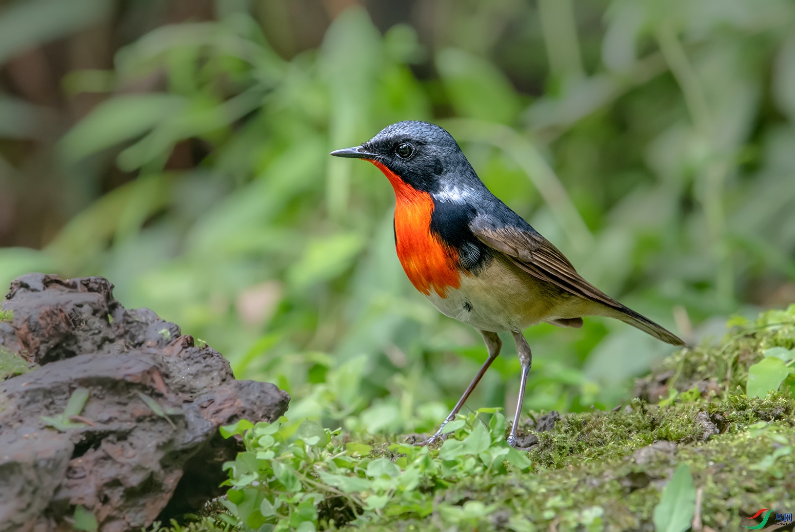 DSC_21791.jpg