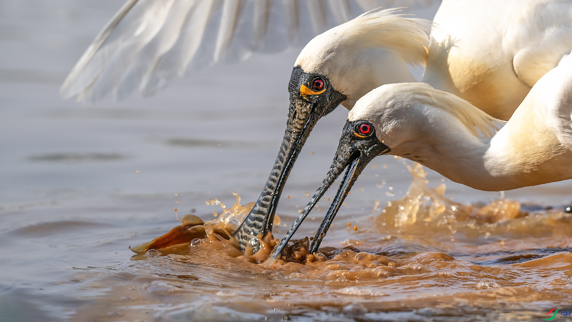 DSC_6932.jpg