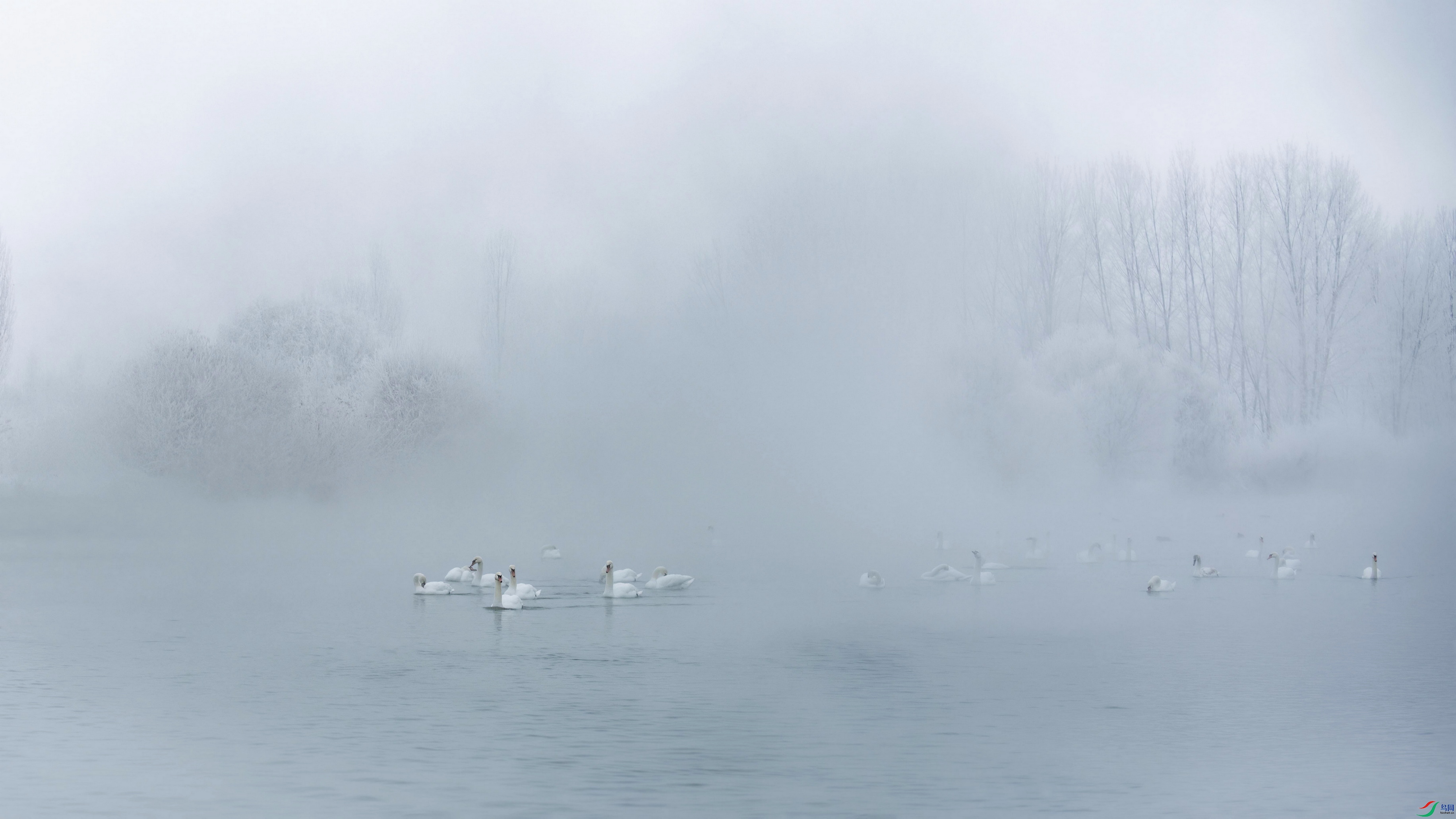 DSC_5249 ����9F01.jpg