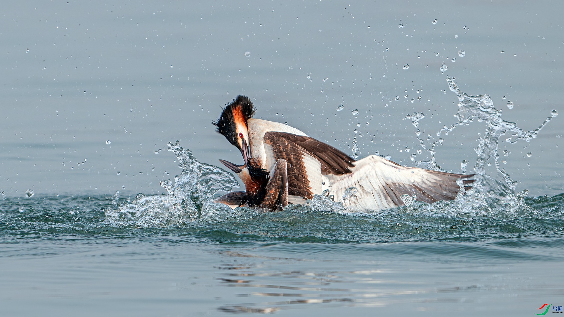 DSC_0697.jpg