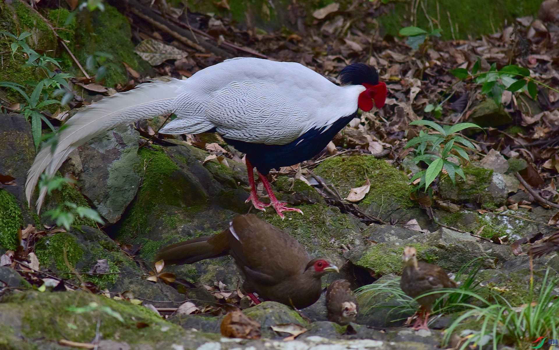 D8I_0643.jpg