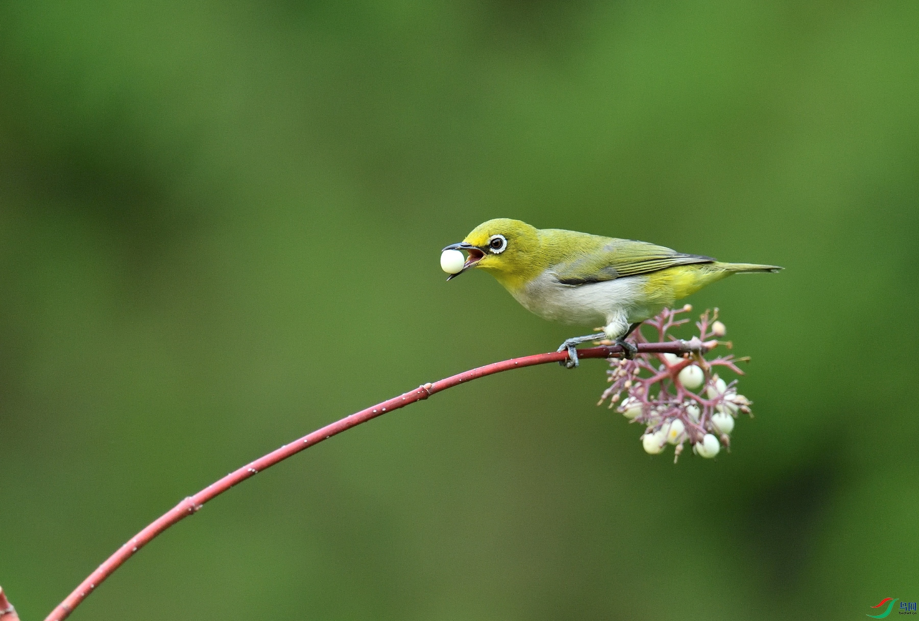 DSC_2302.JPG