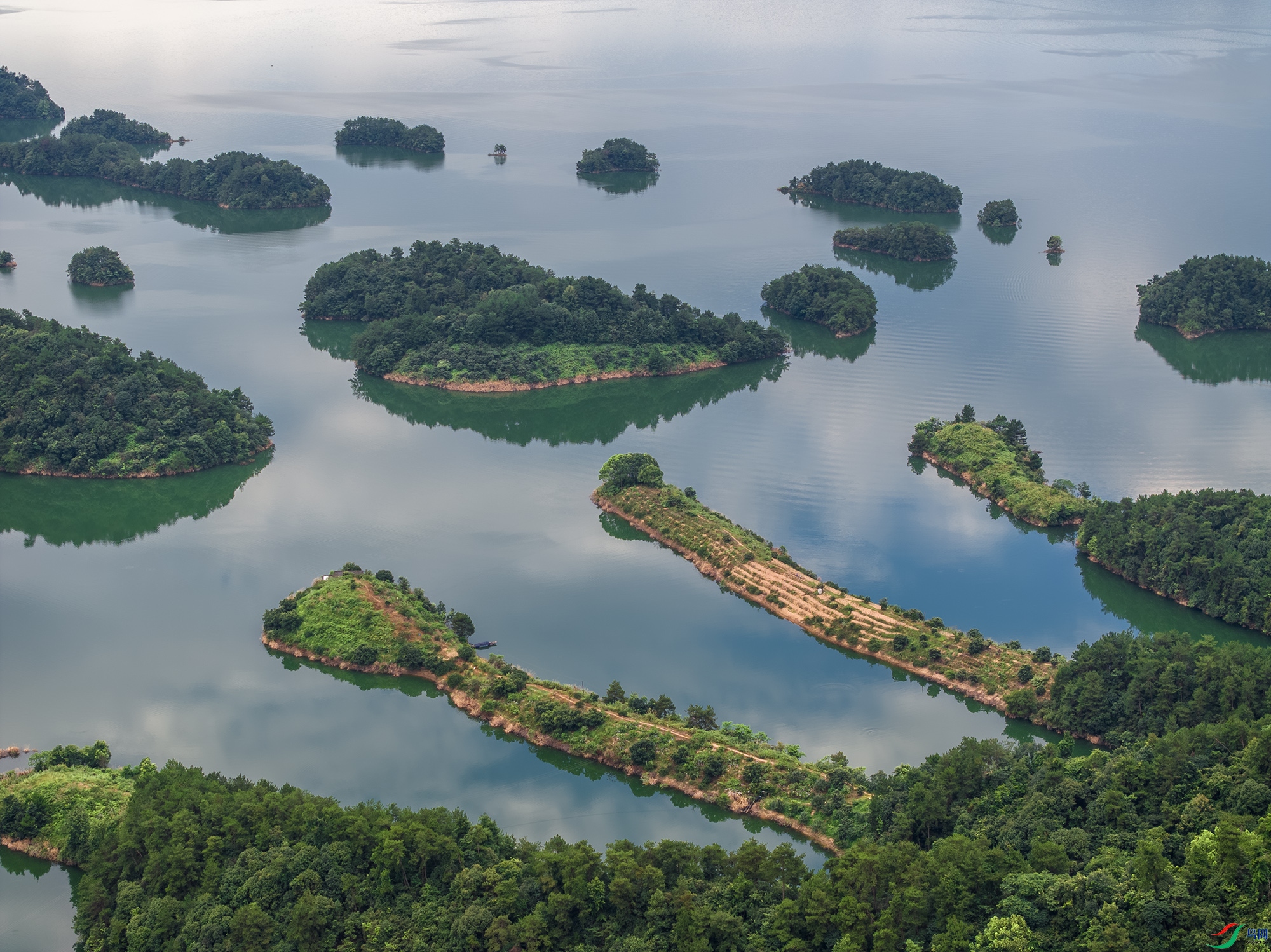 DJI_20240720061149_0040_D ����1111111111.jpg