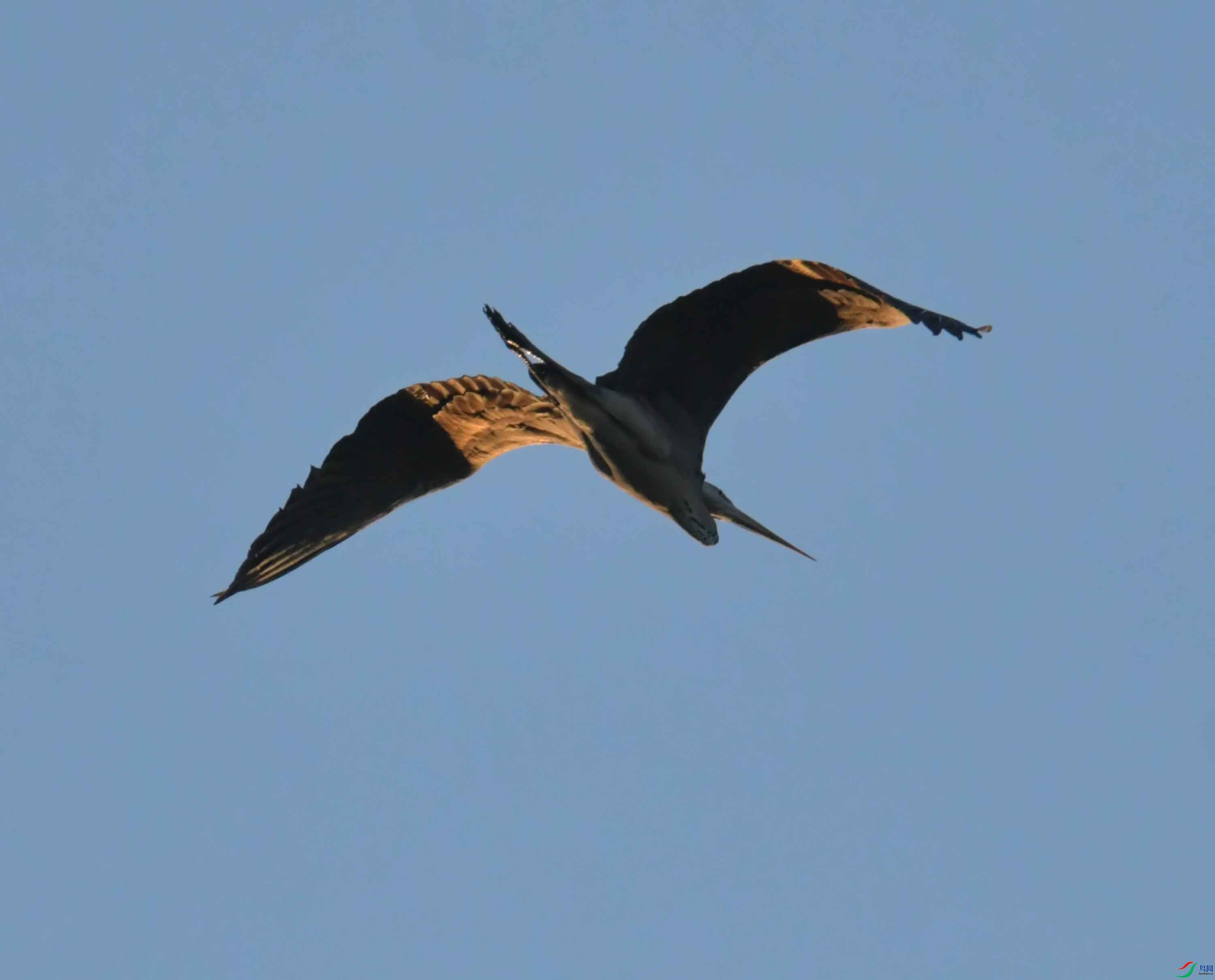 DSC_2166.JPG