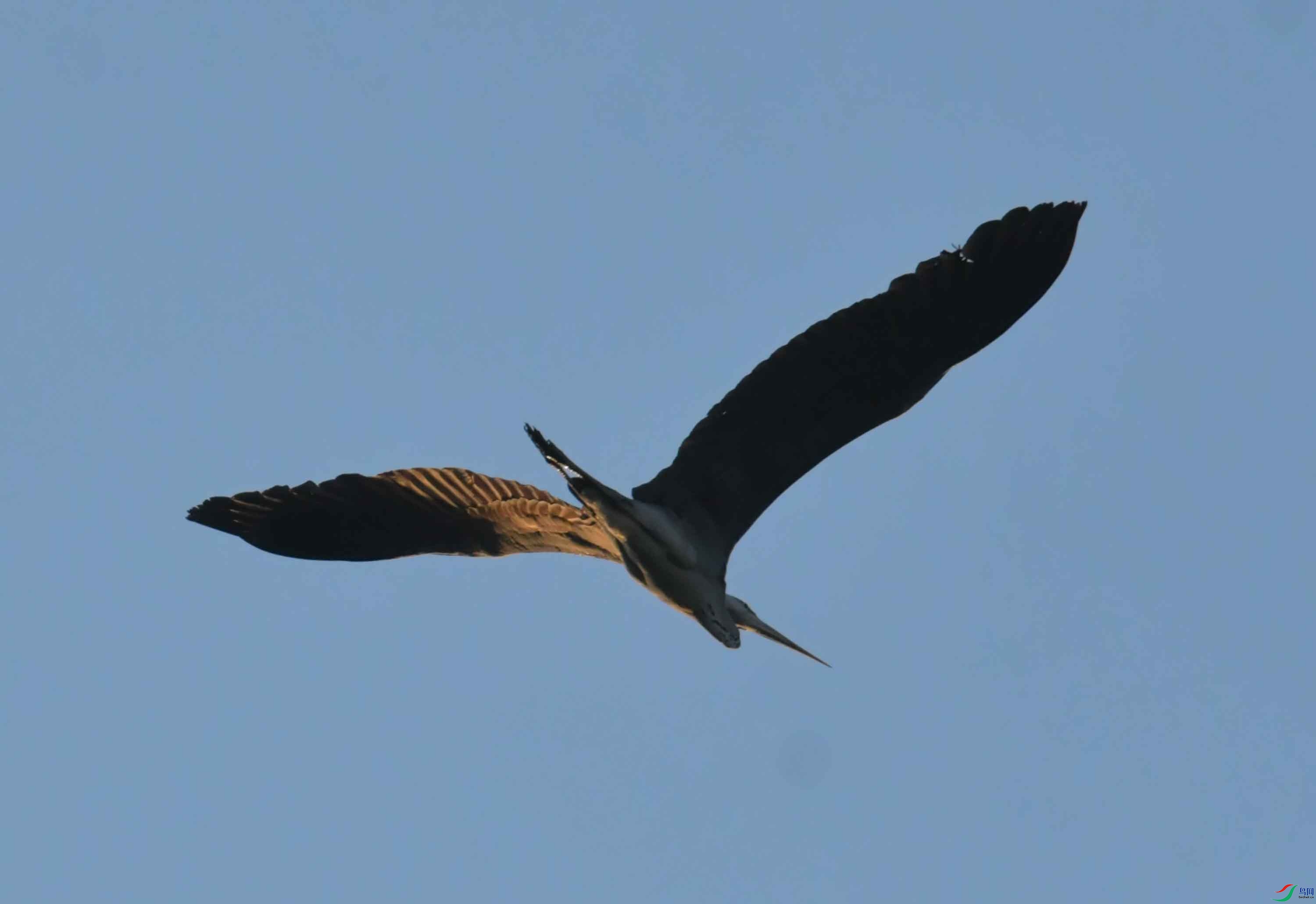 DSC_2167.JPG