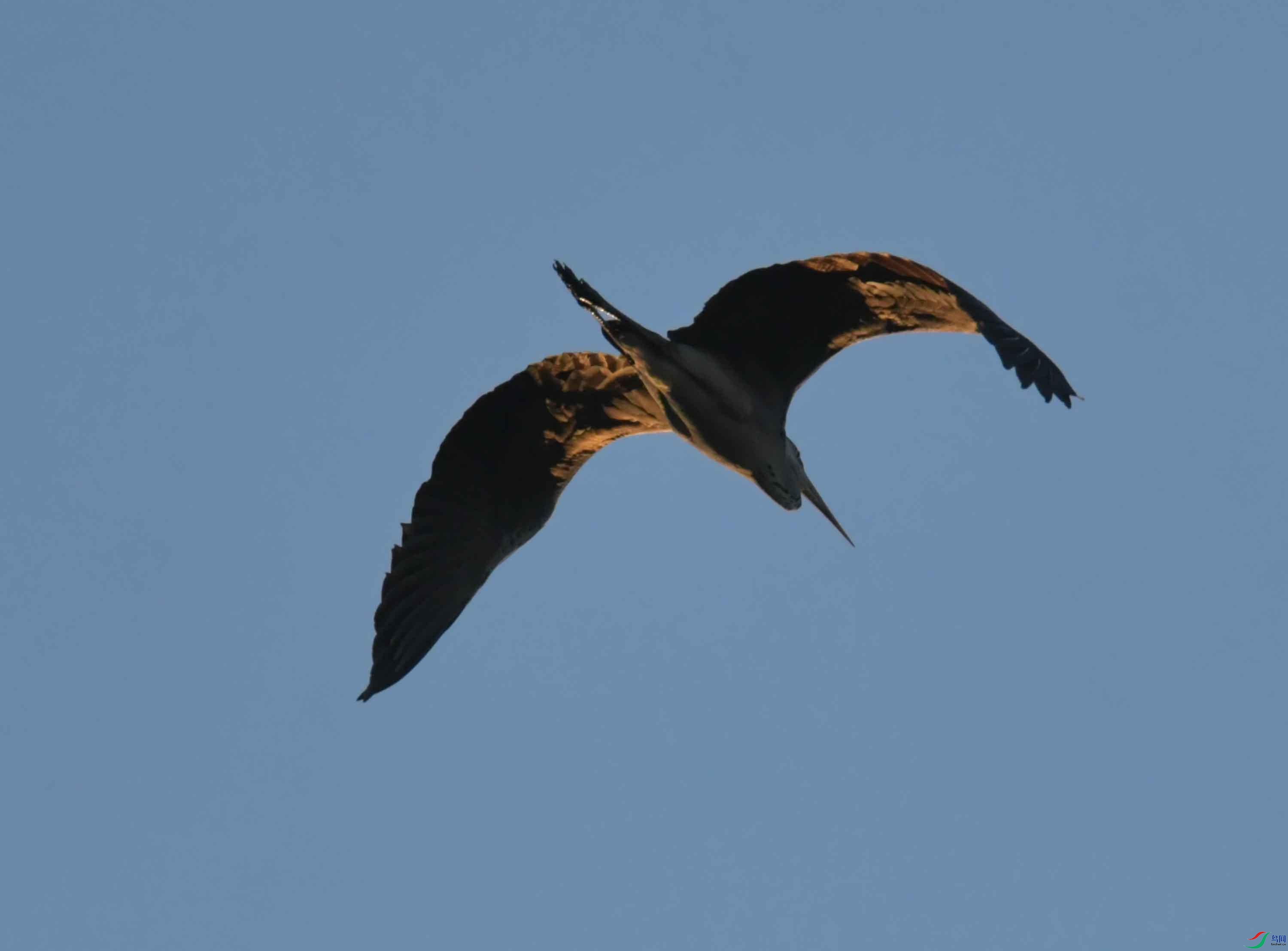 DSC_2165.JPG