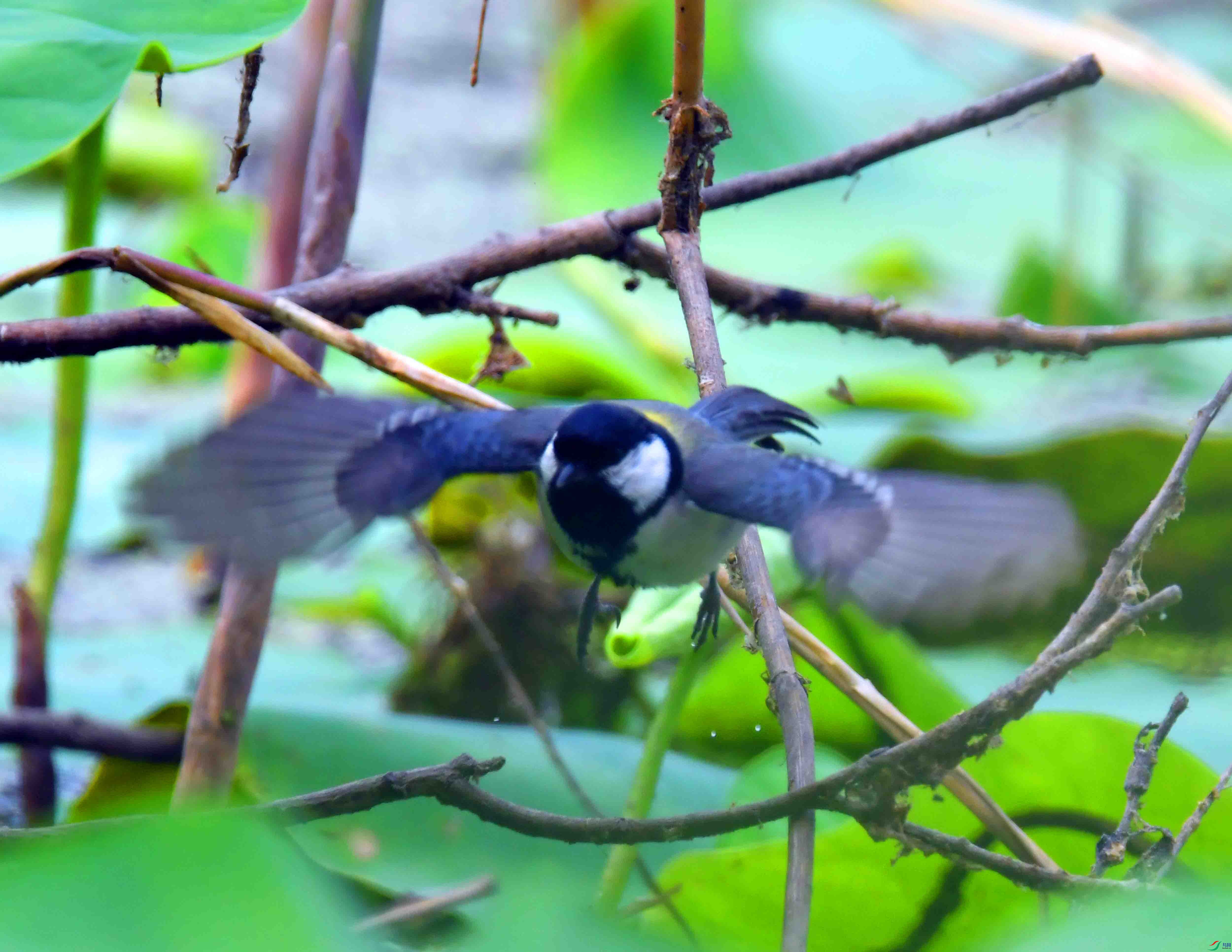 DSC_2359.JPG