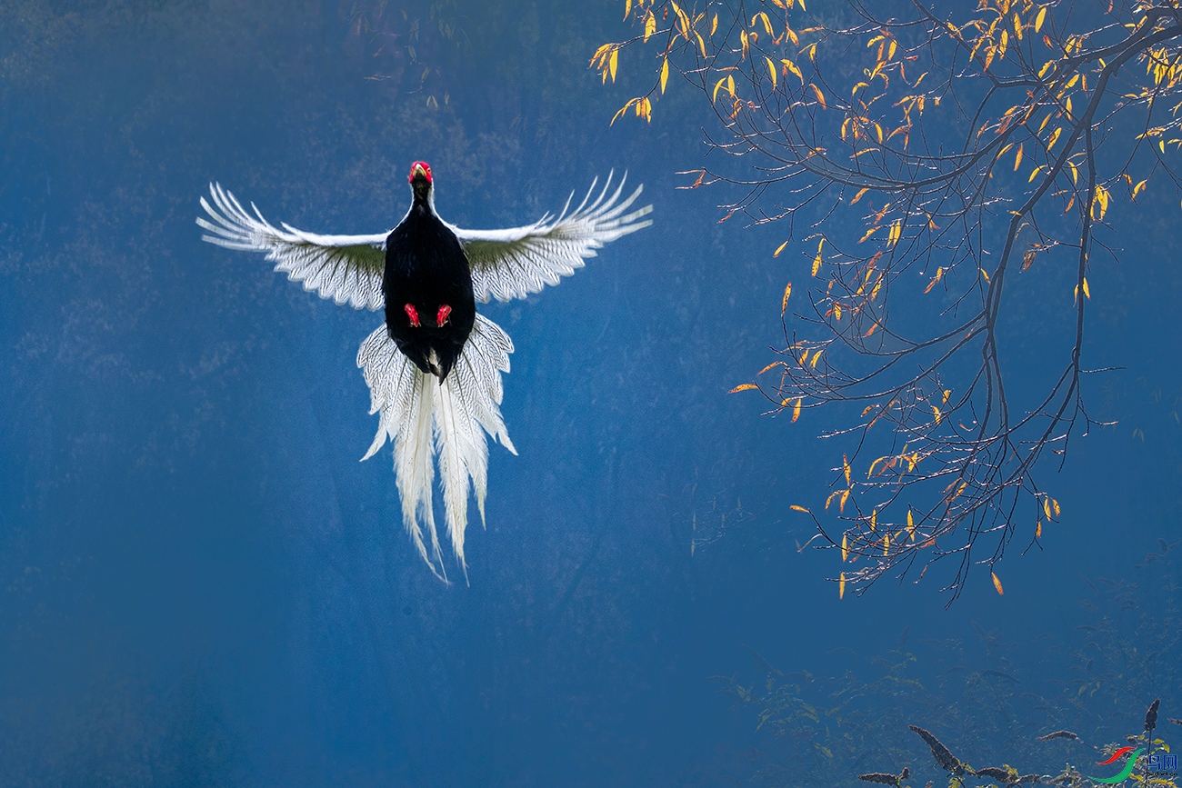 ����----�������