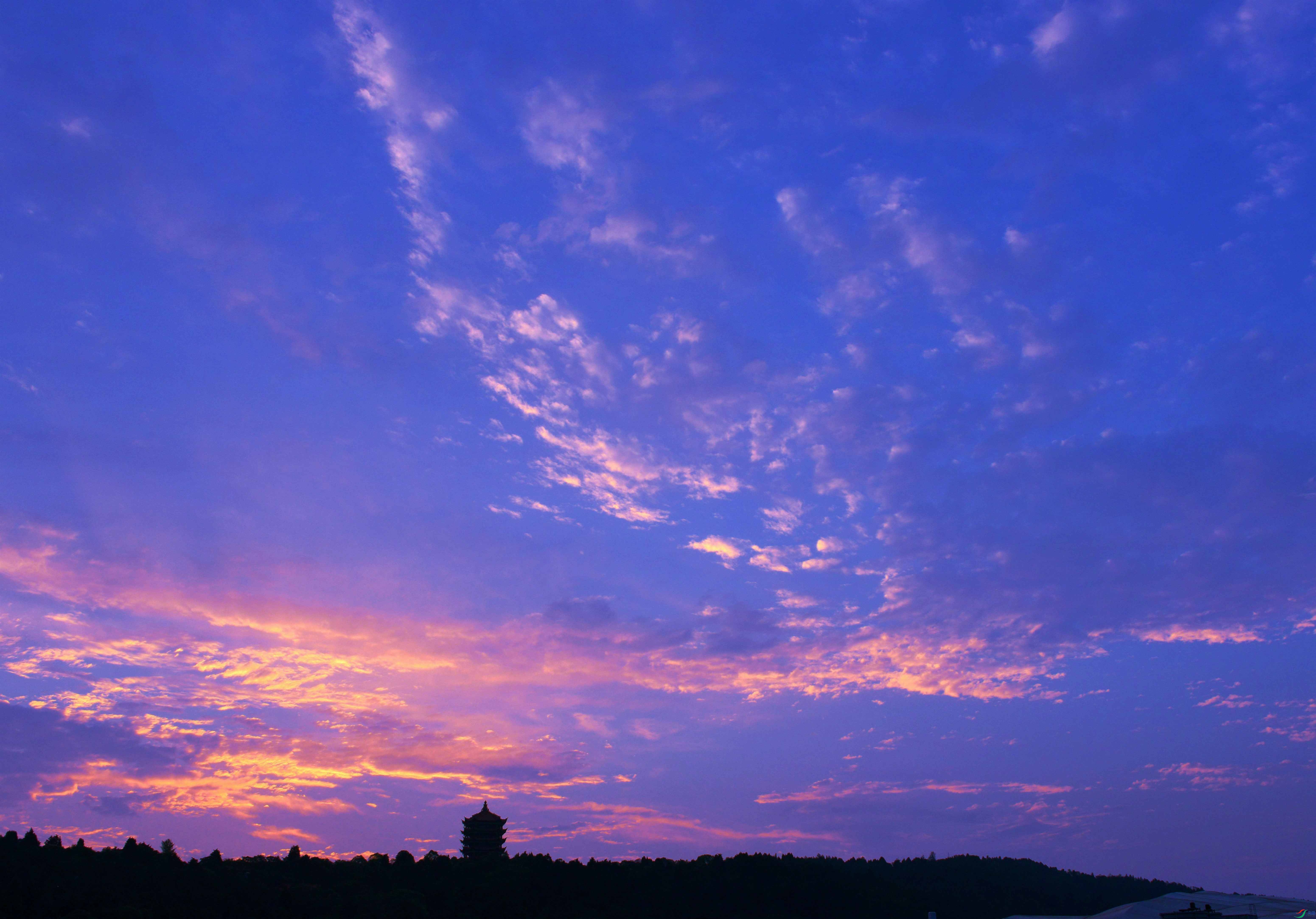 DSC_6860.JPG