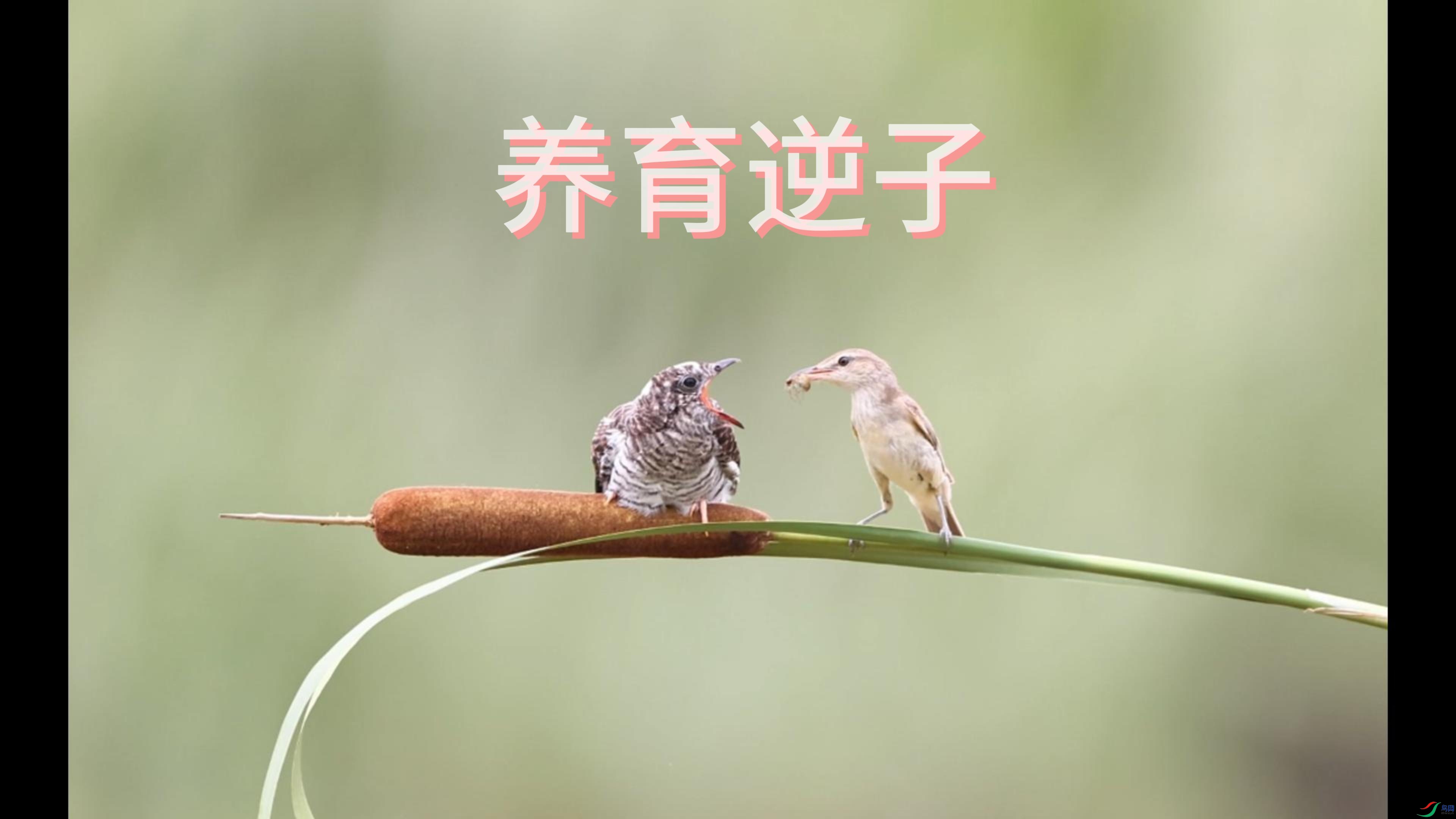 7��20�� (1)-����.jpg