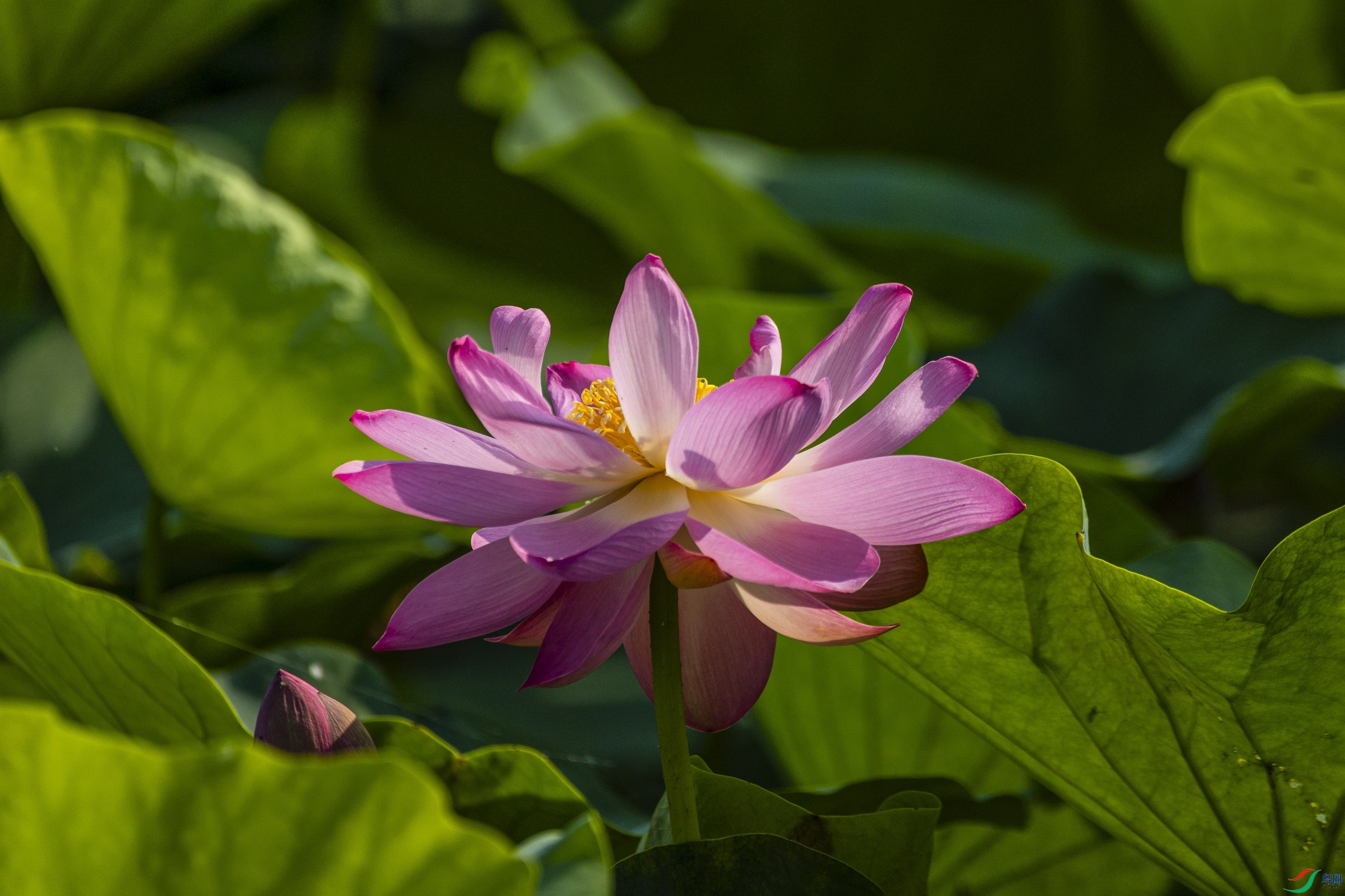 1K3A9987 ����1.jpg