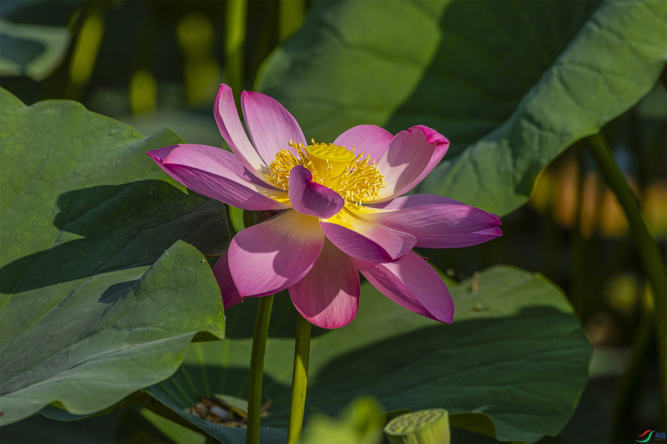 1K3A9991 ����1.jpg