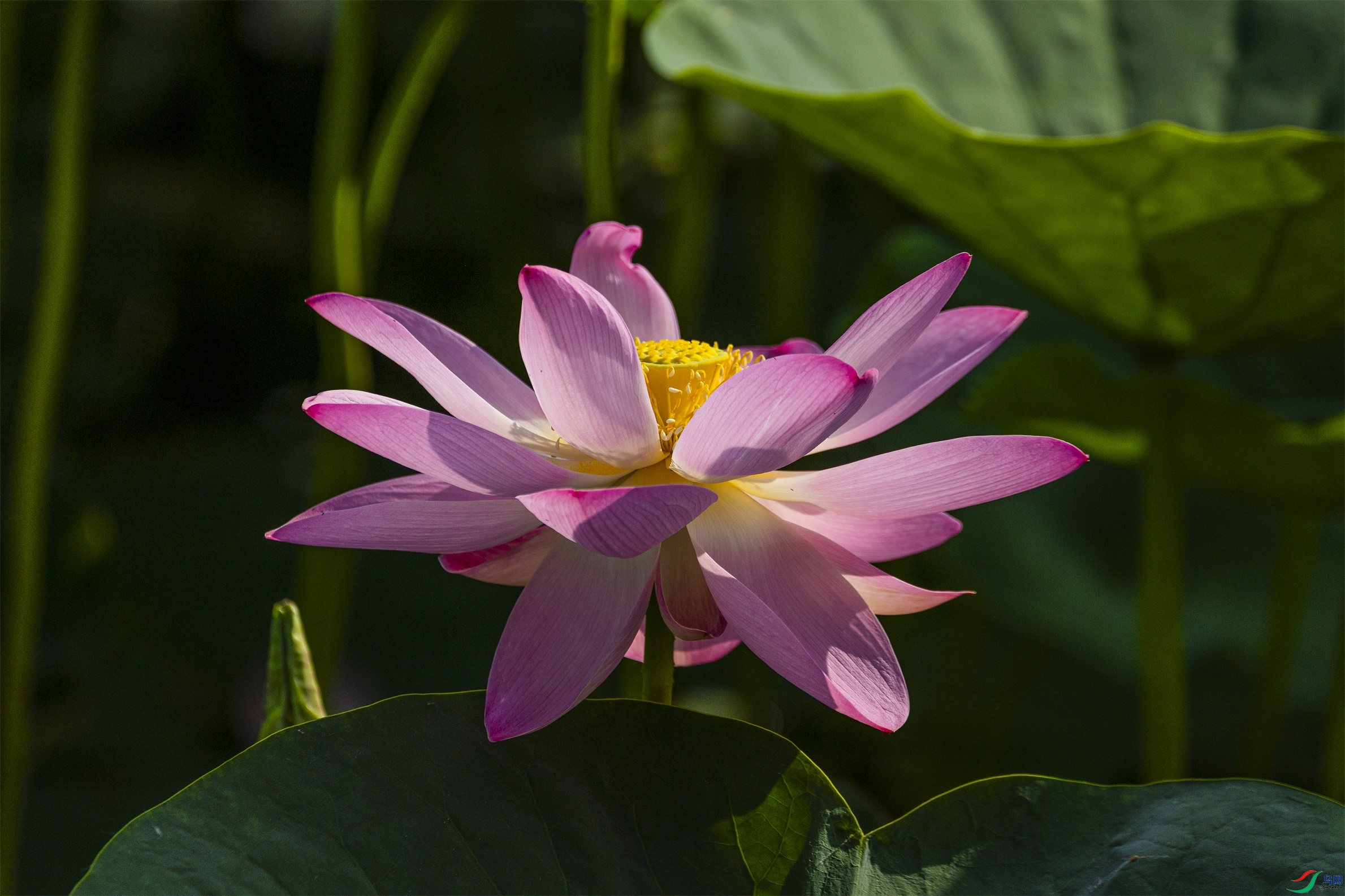 1K3A9986 ����1.jpg