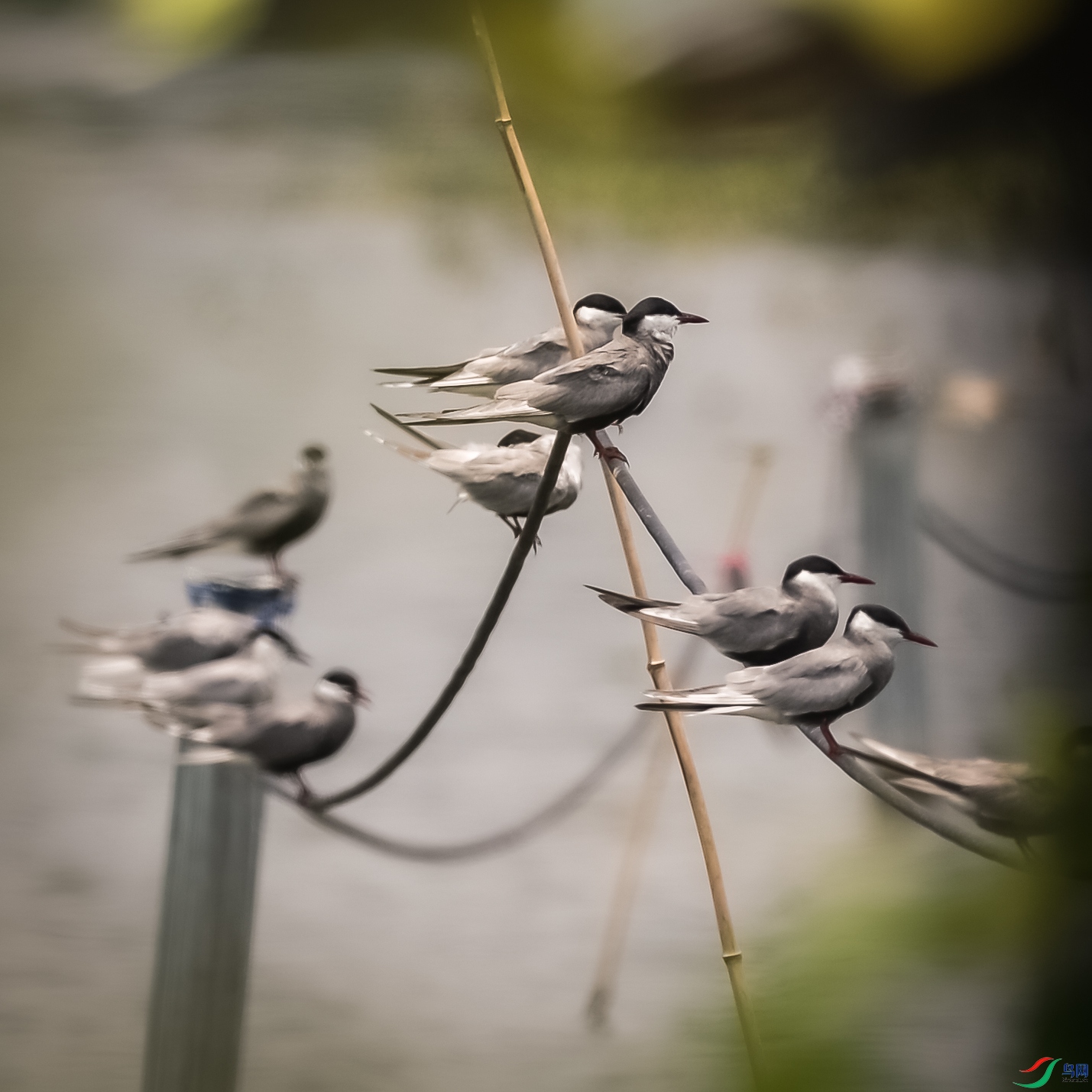 DSC_4265.jpg