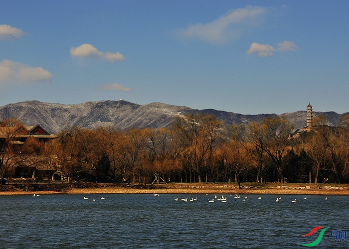 _DSC9178.jpg