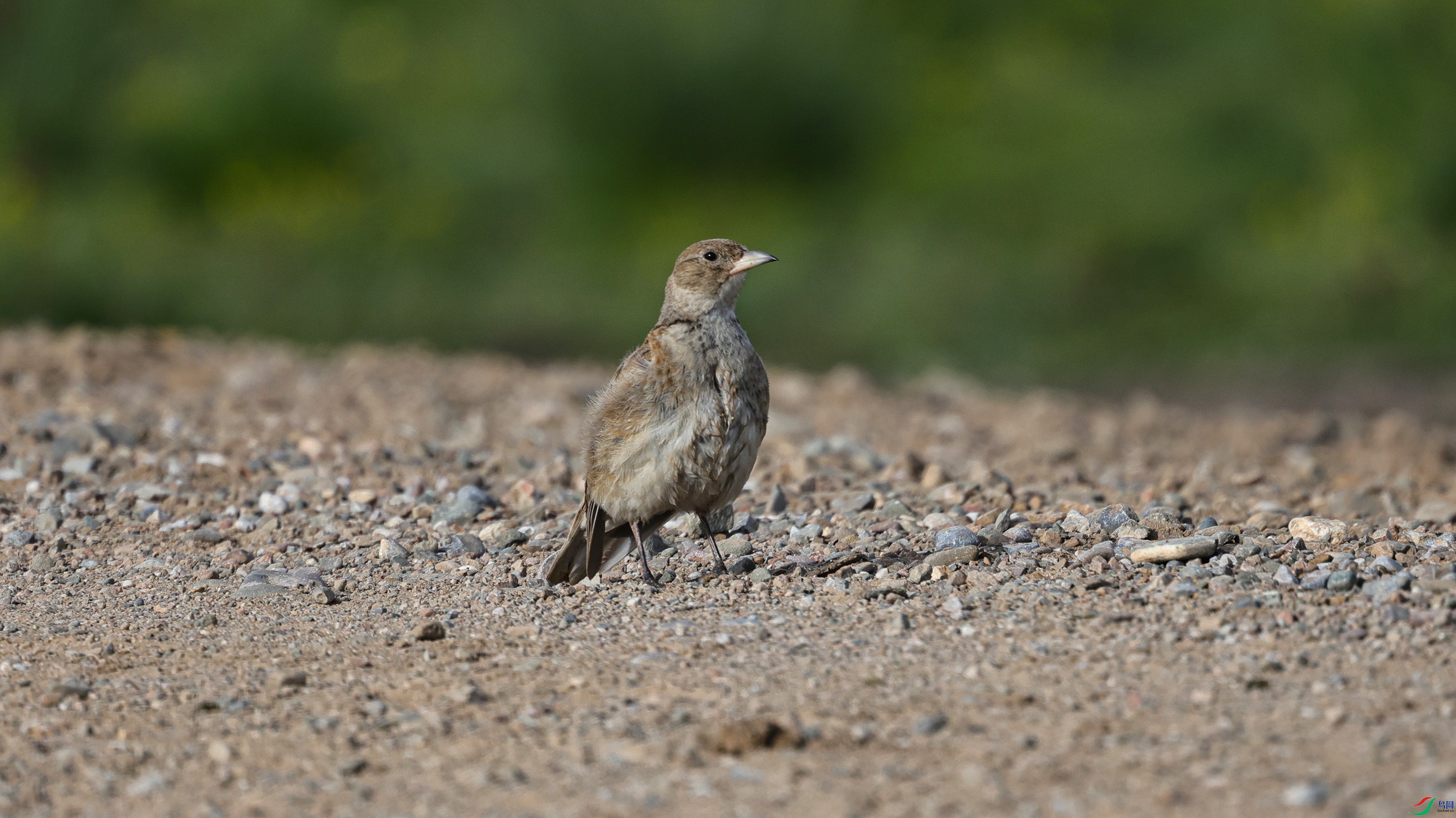 7X5A0934 ����.jpg