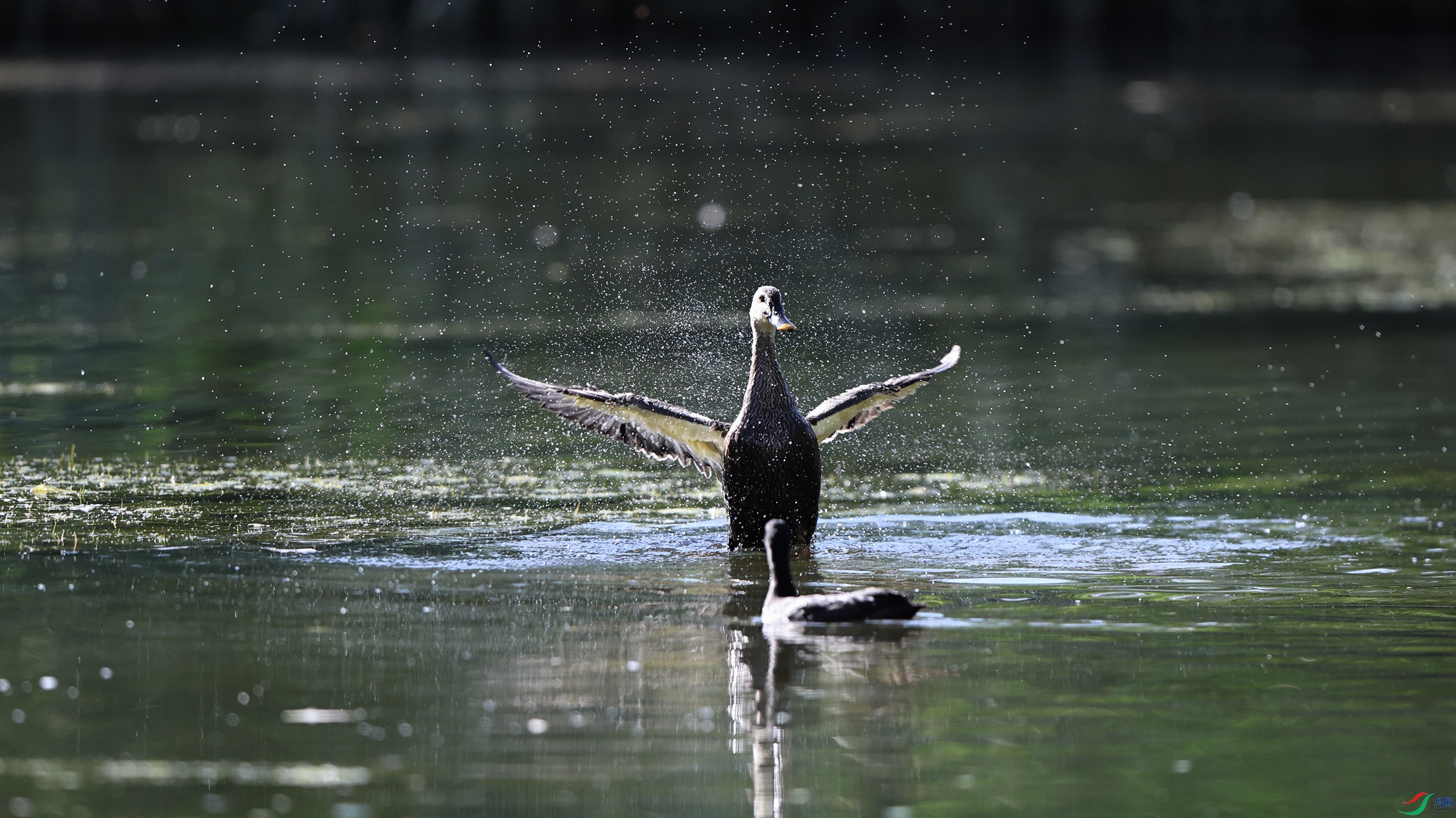 7X5A1255 ����5555.jpg