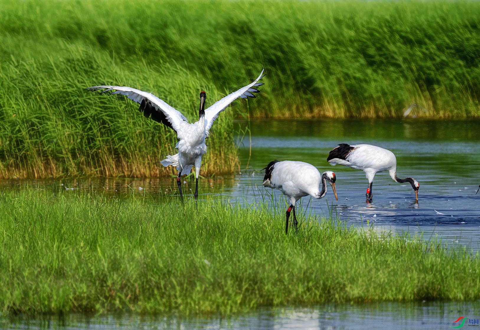 ������ĵ�����