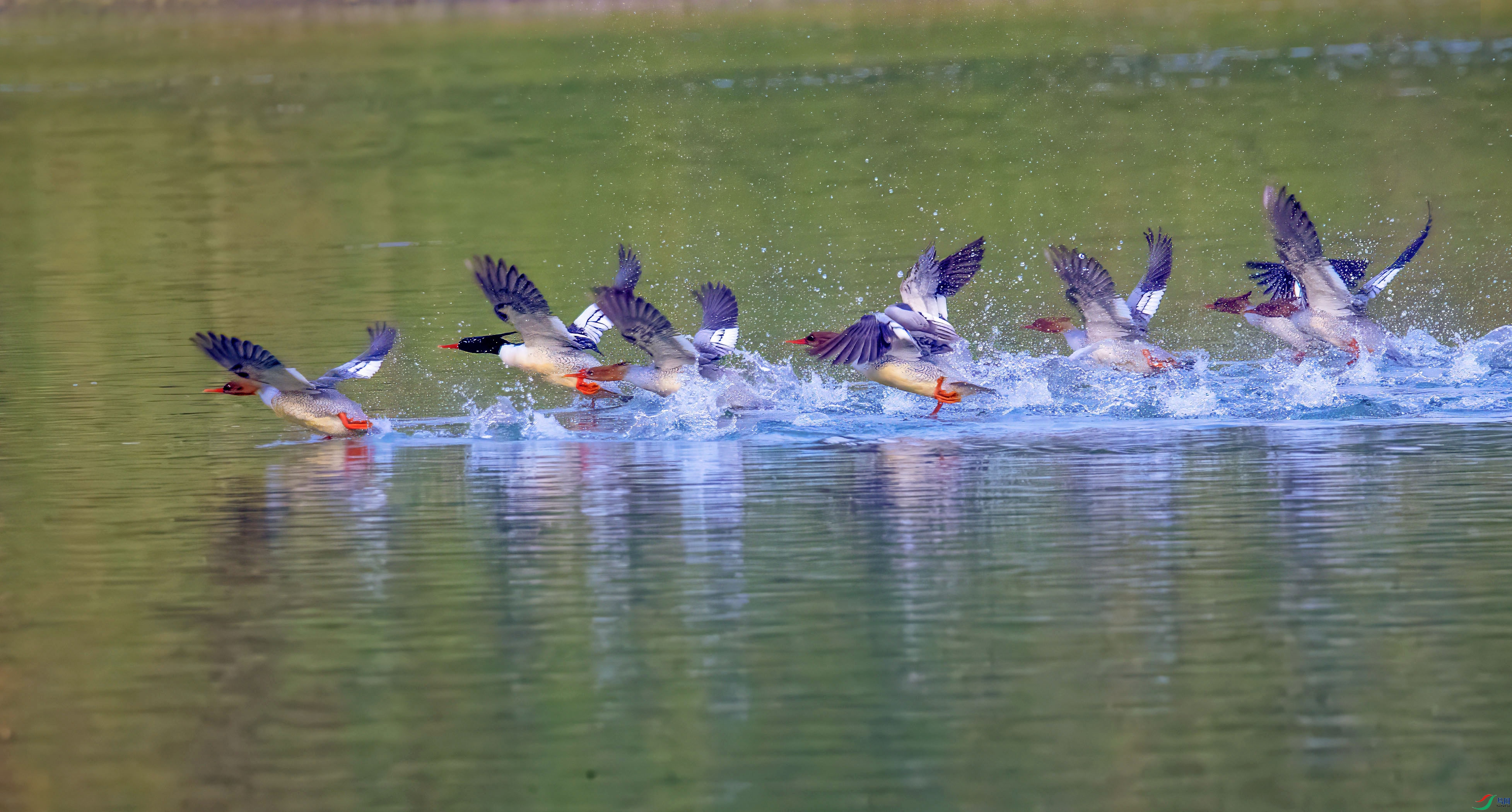 A45I9445 ���� 2.jpg