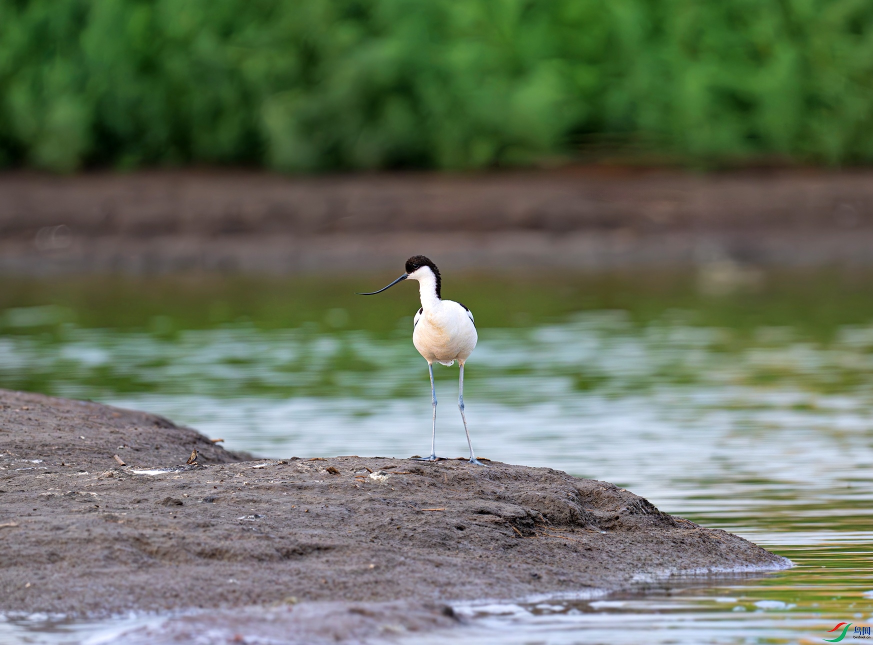 _DSC5018f.jpg