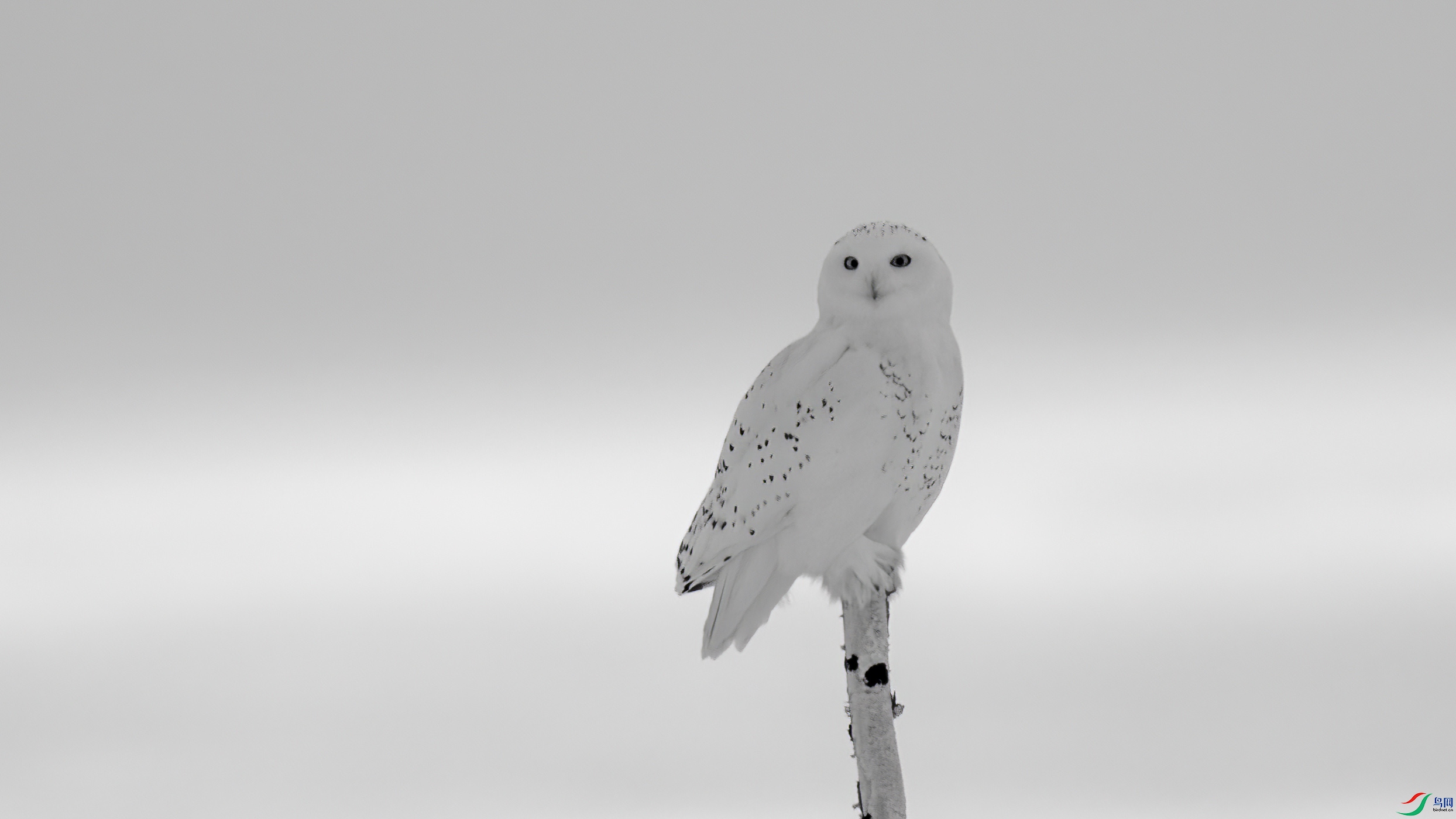 DSC07055 ����.jpg