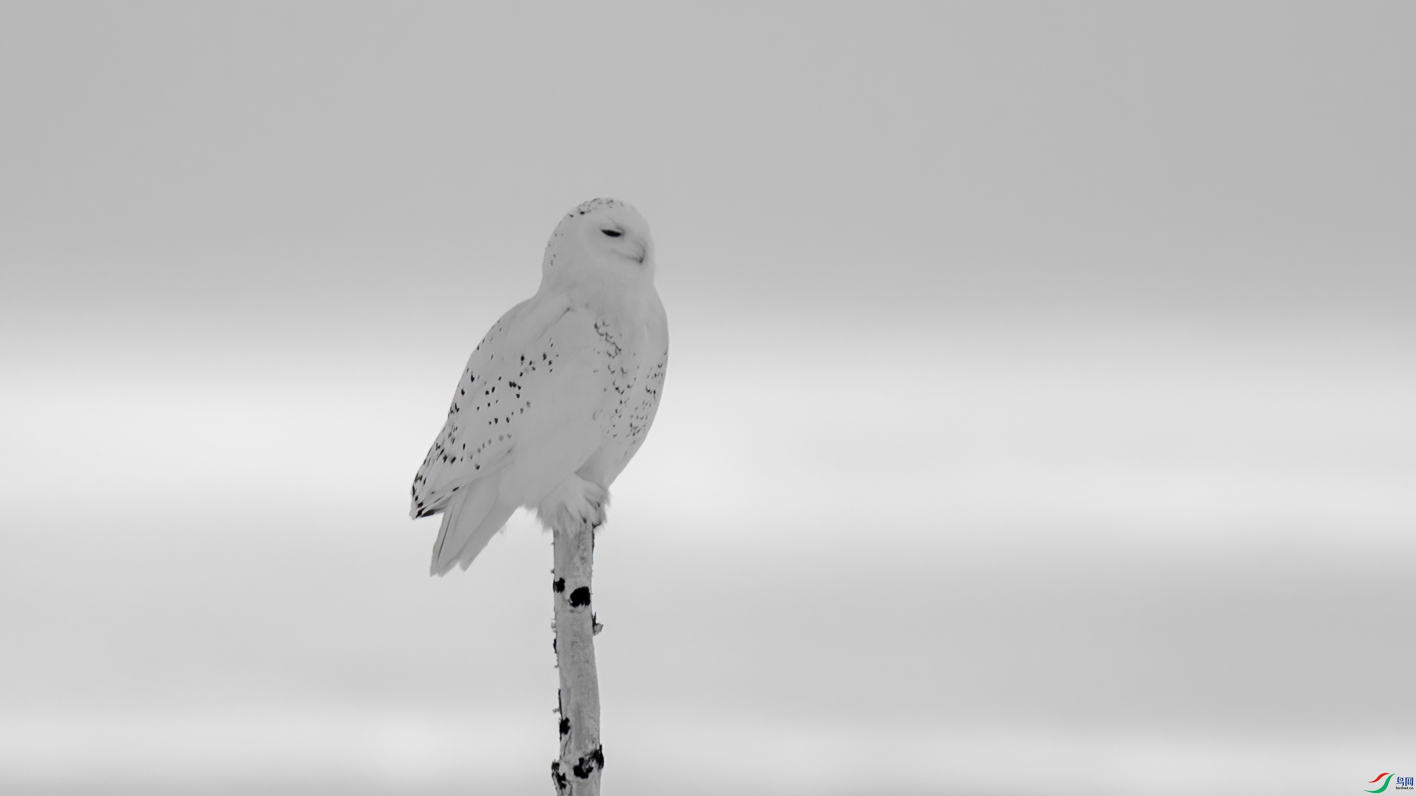 DSC07058 ����.jpg