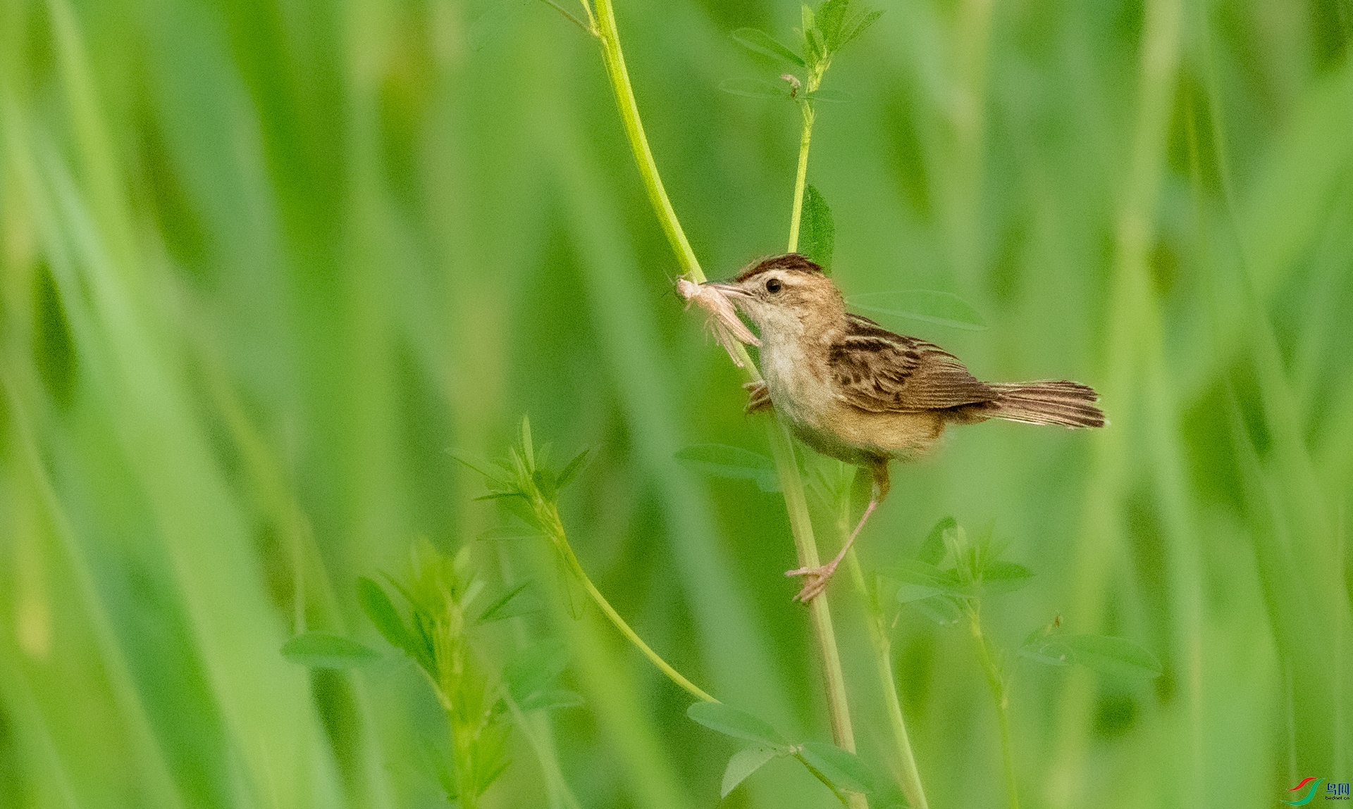 DSC_4034.jpg