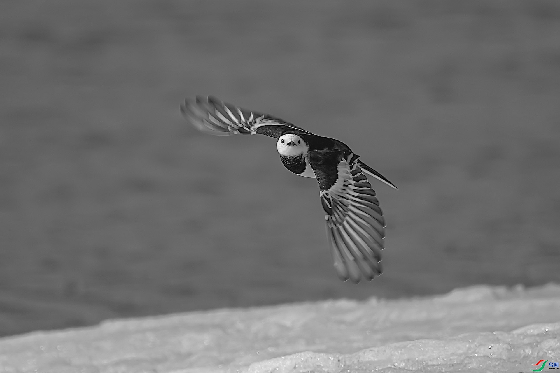 162823x73gvbfb11sb45n3.jpg