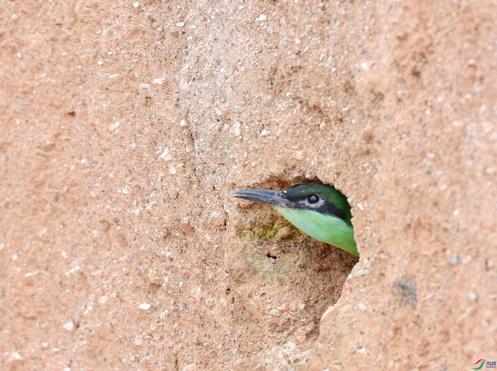D8I_1223.jpg
