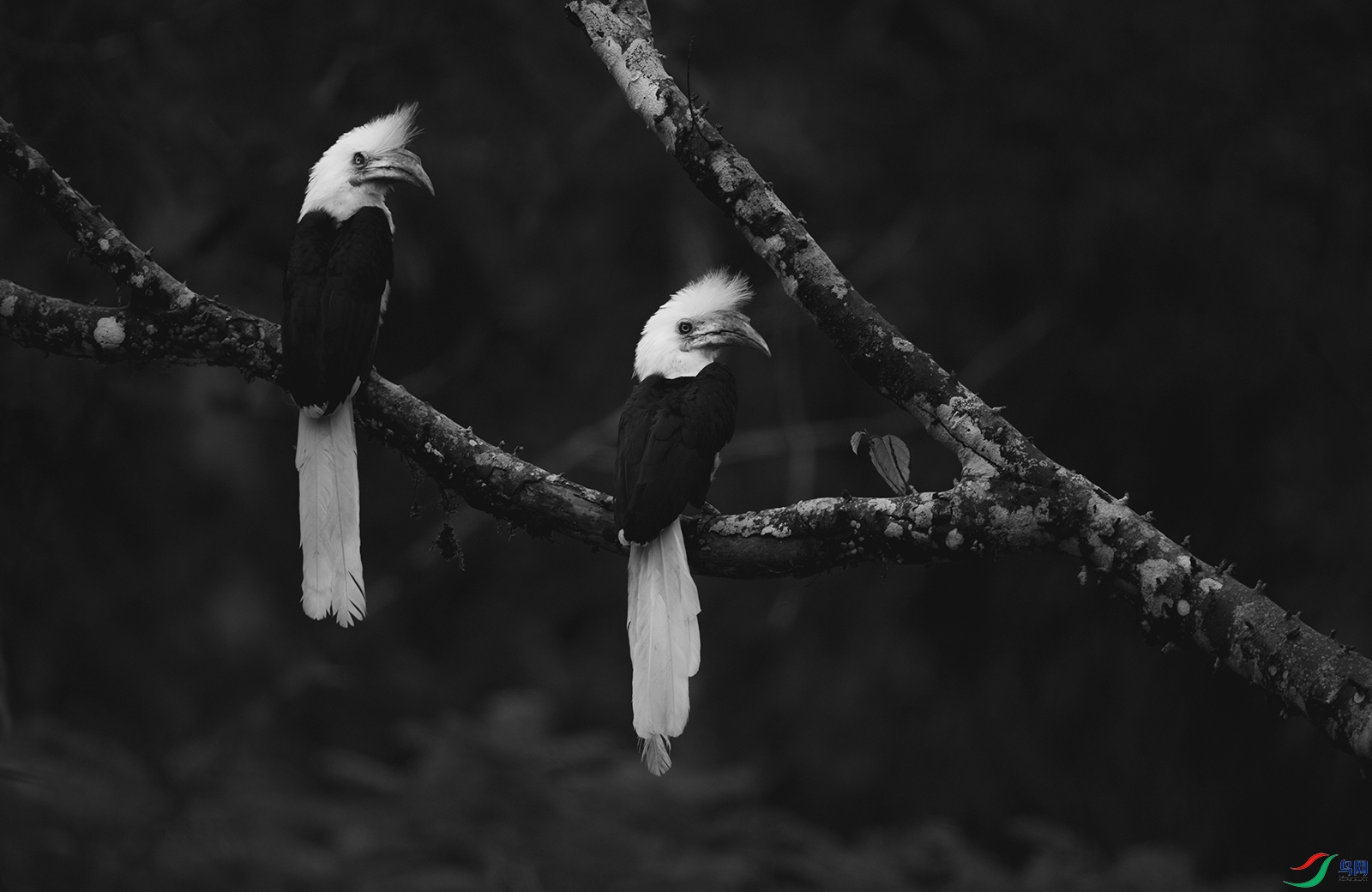 DSC_6349.jpg
