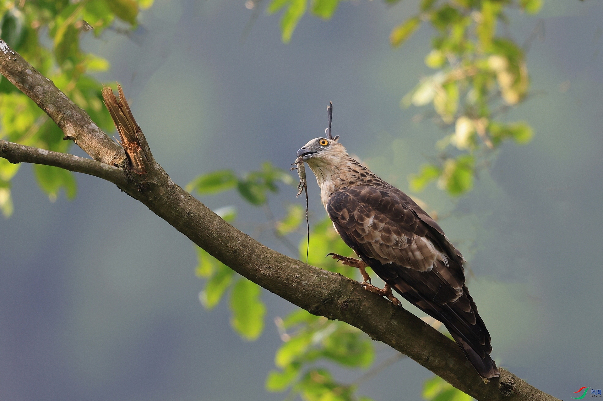 ����113A8346�� ����������.jpg