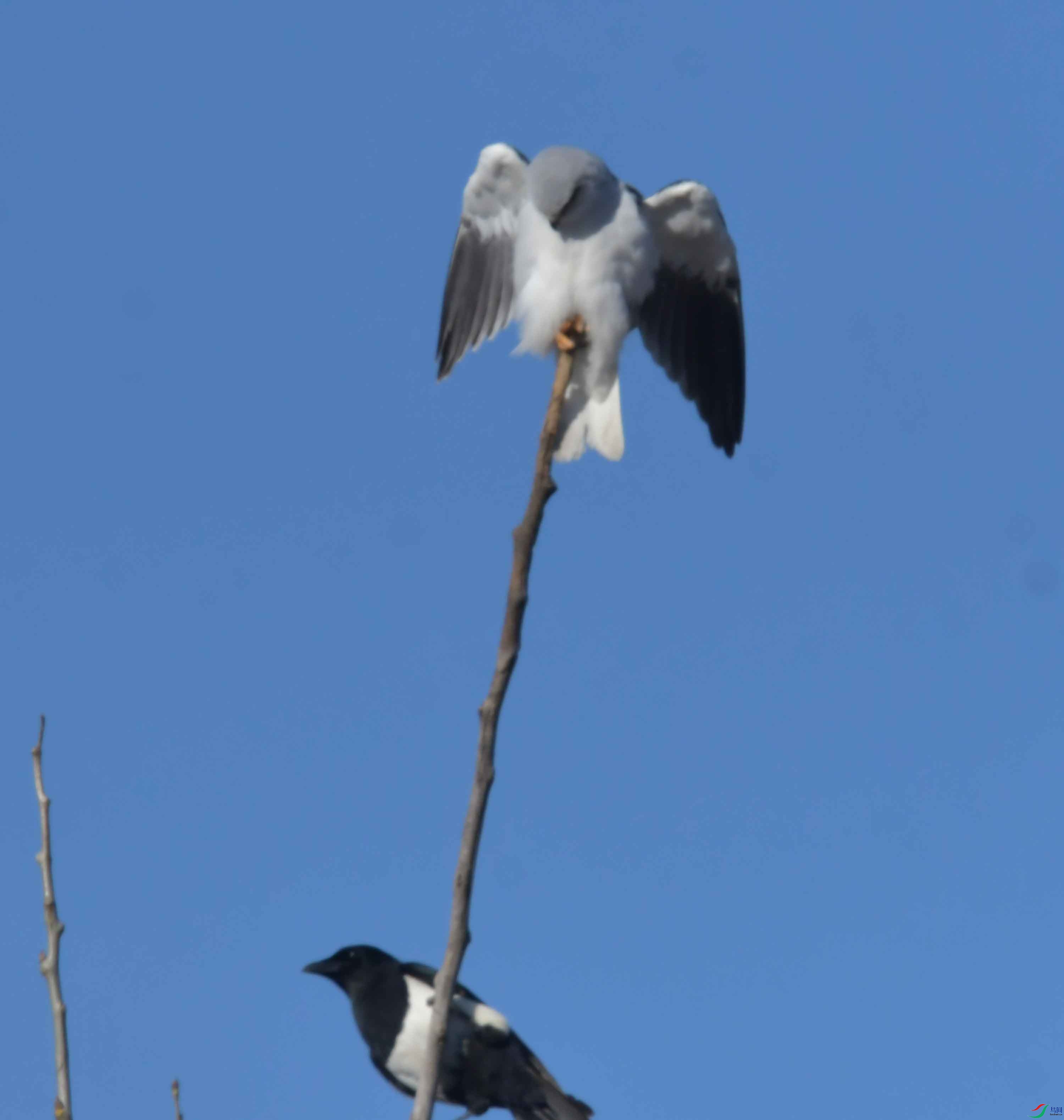 DSC_4340.JPG