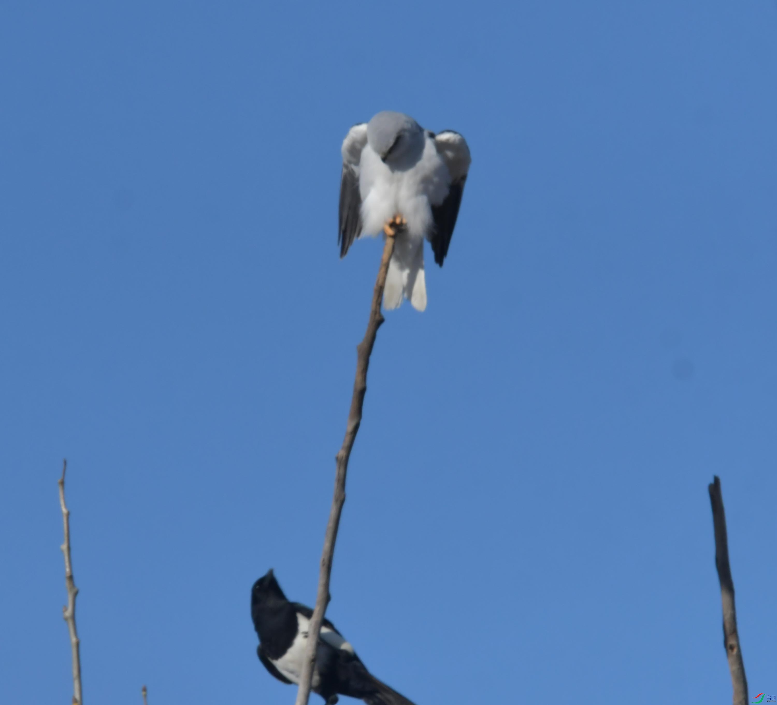 DSC_4341.JPG