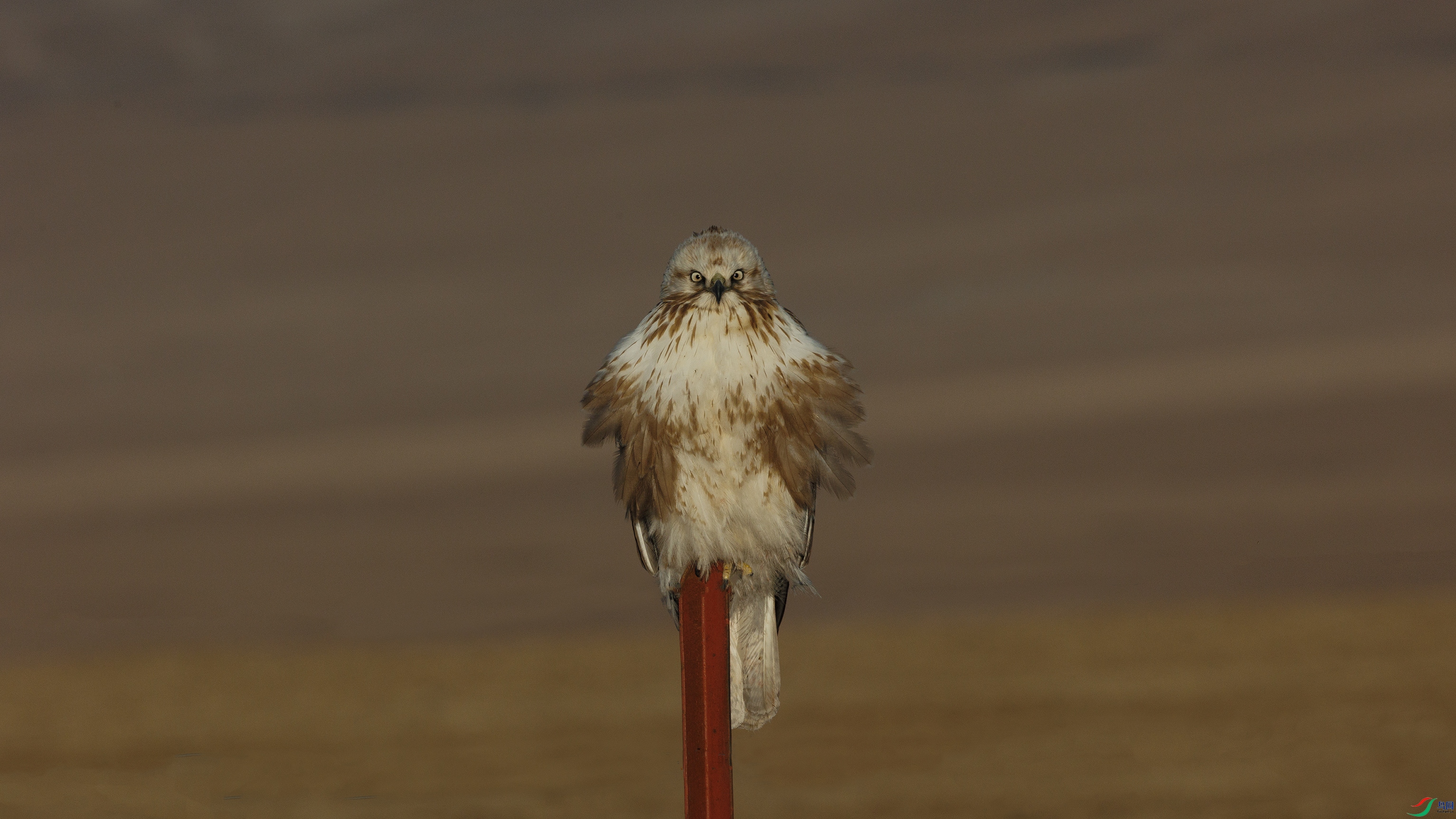 381A9986 ����6666.jpg