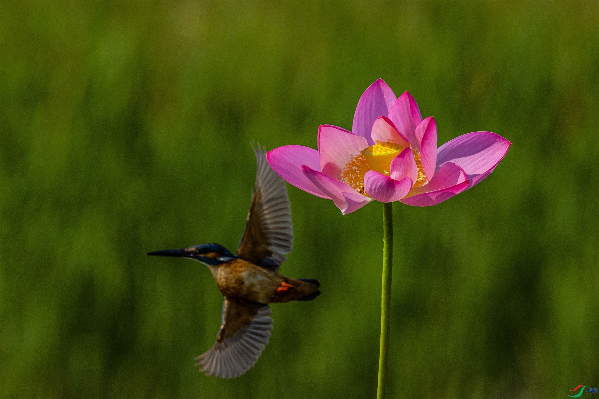 1K3A1328 ����1.jpg