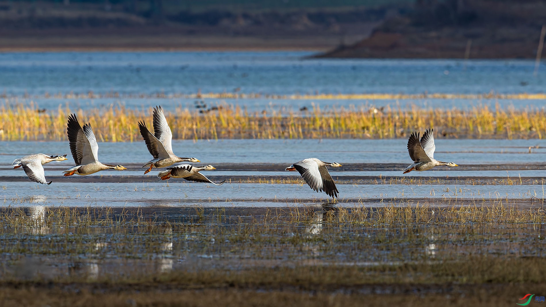 AR2I7406-CR2_DxO_DeepPRIMEXD-1.jpg
