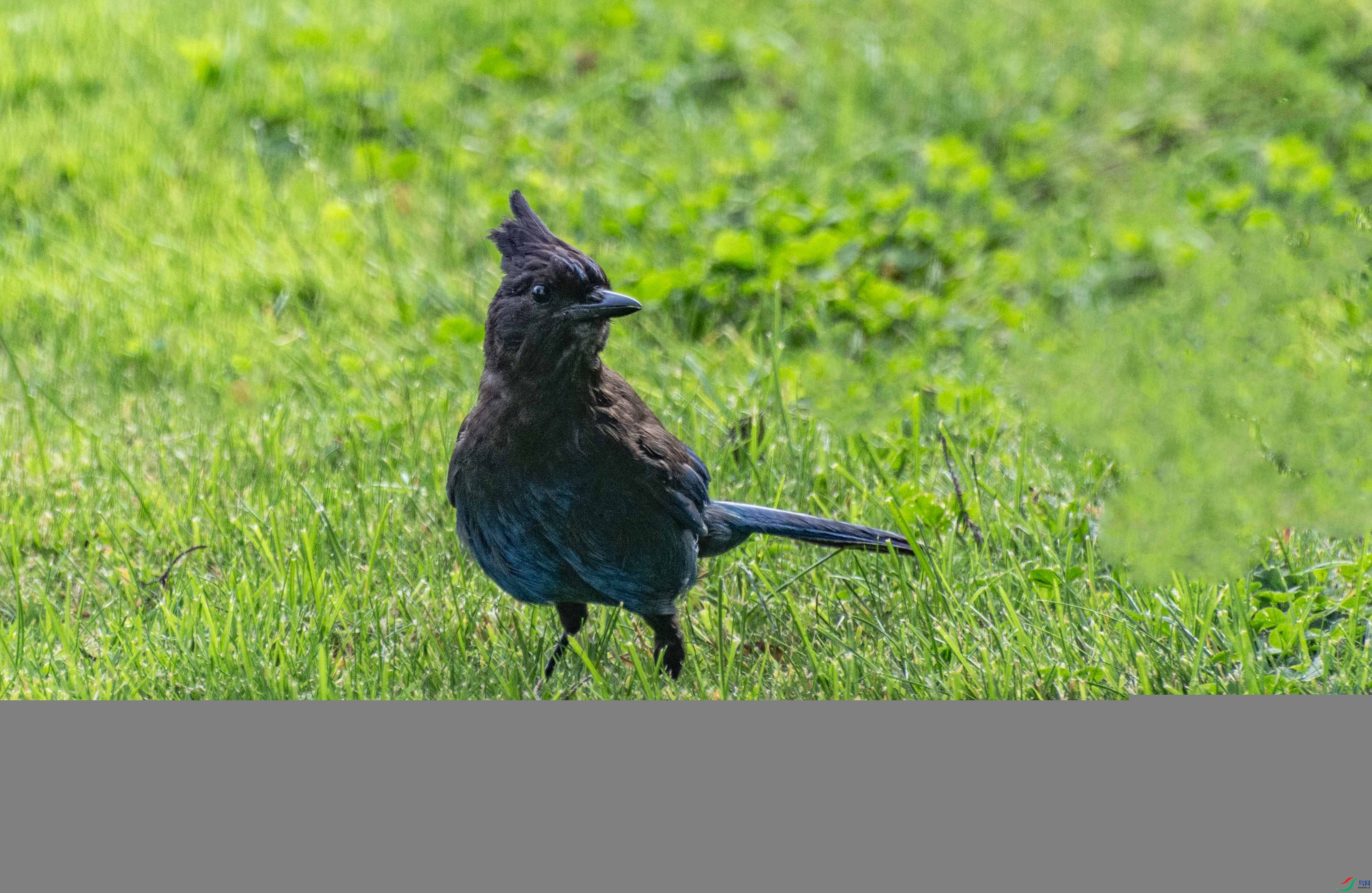 DSC_7976 ����.jpg