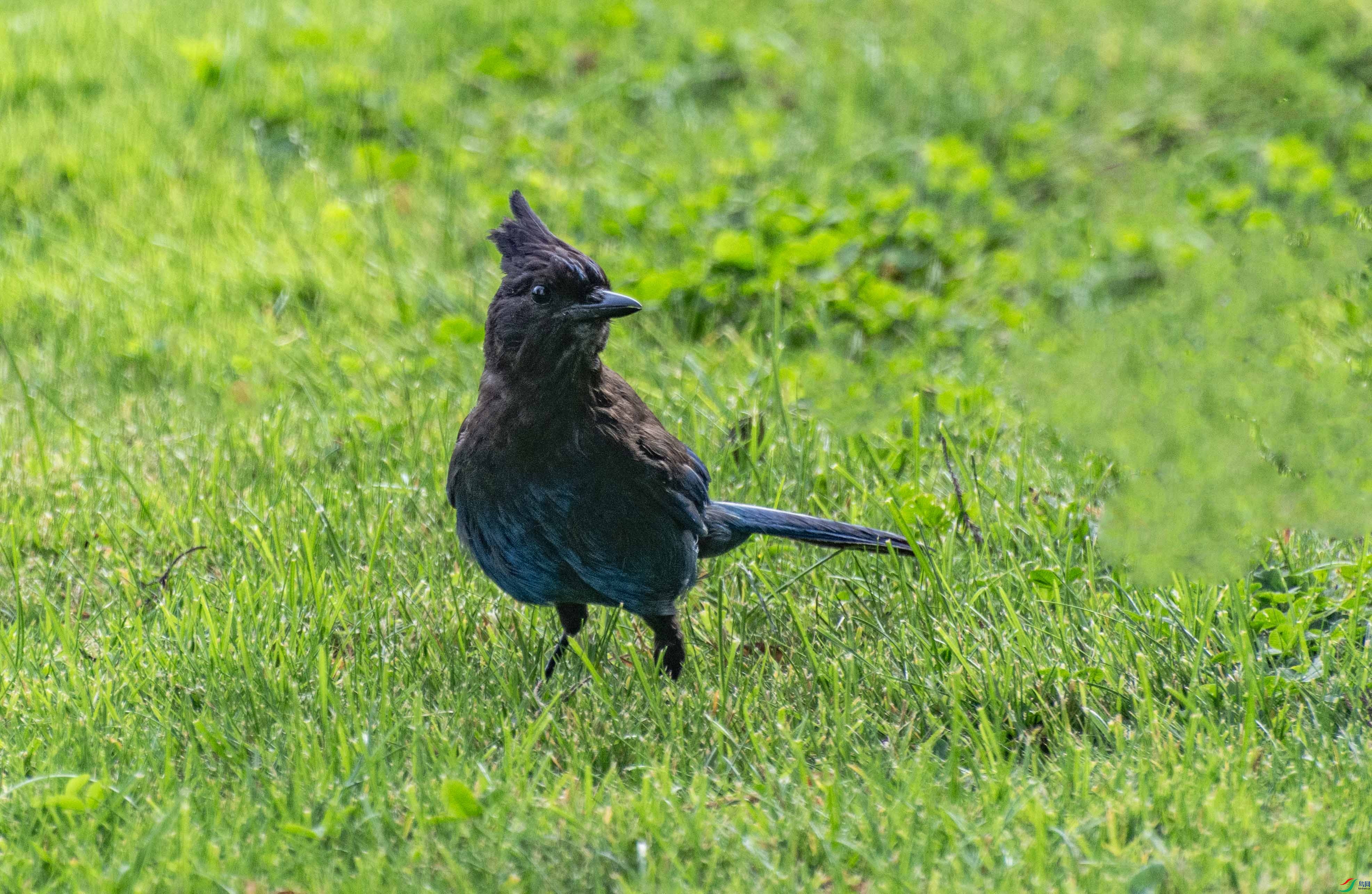 DSC_7976 ����.jpg