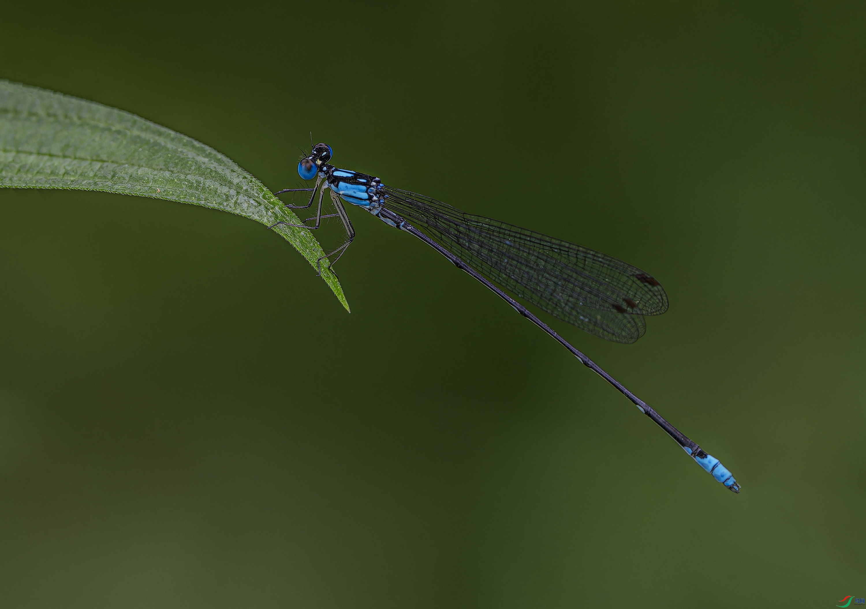 ���� (2)-1.jpg