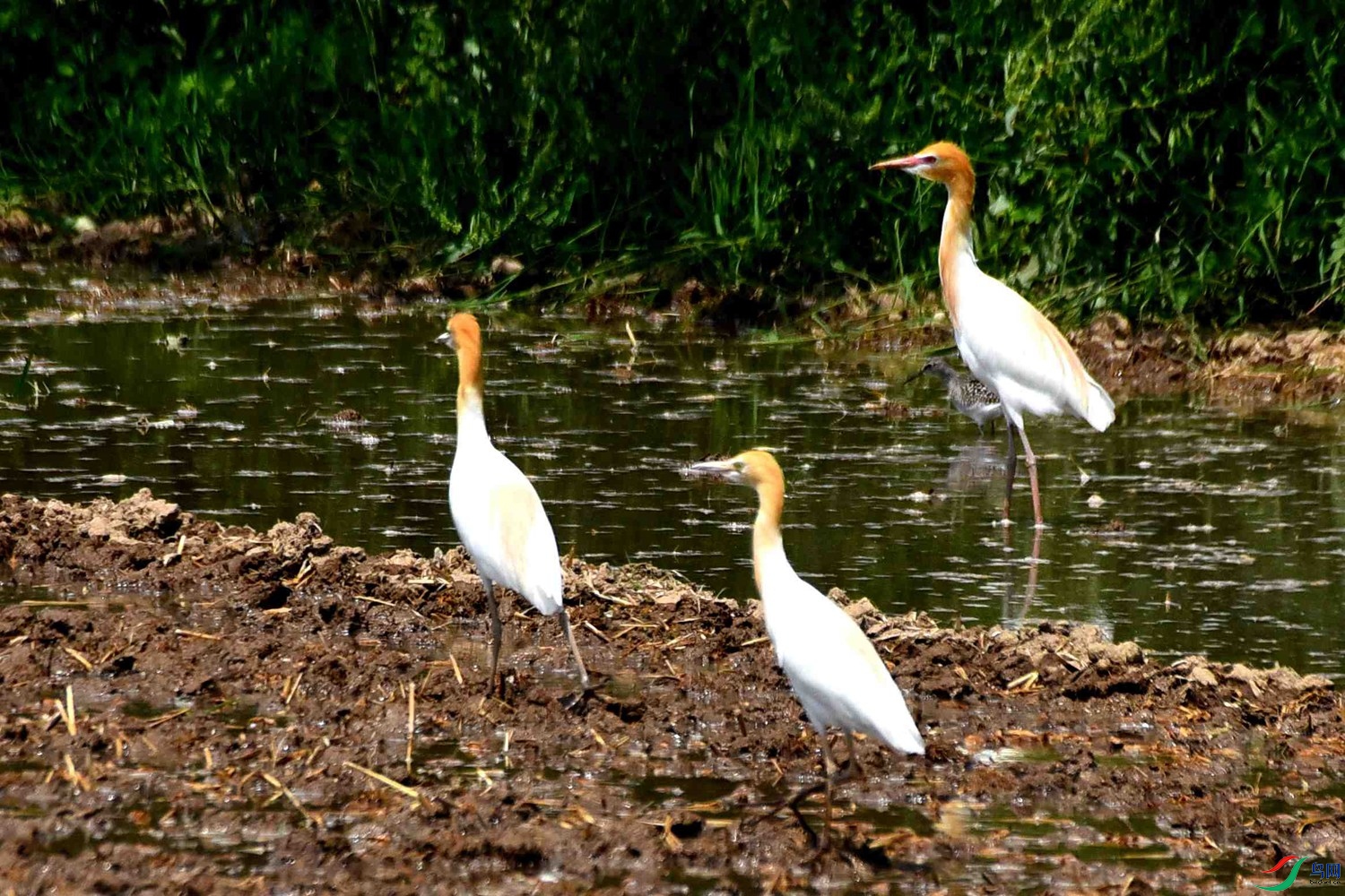DSC_8023.JPG